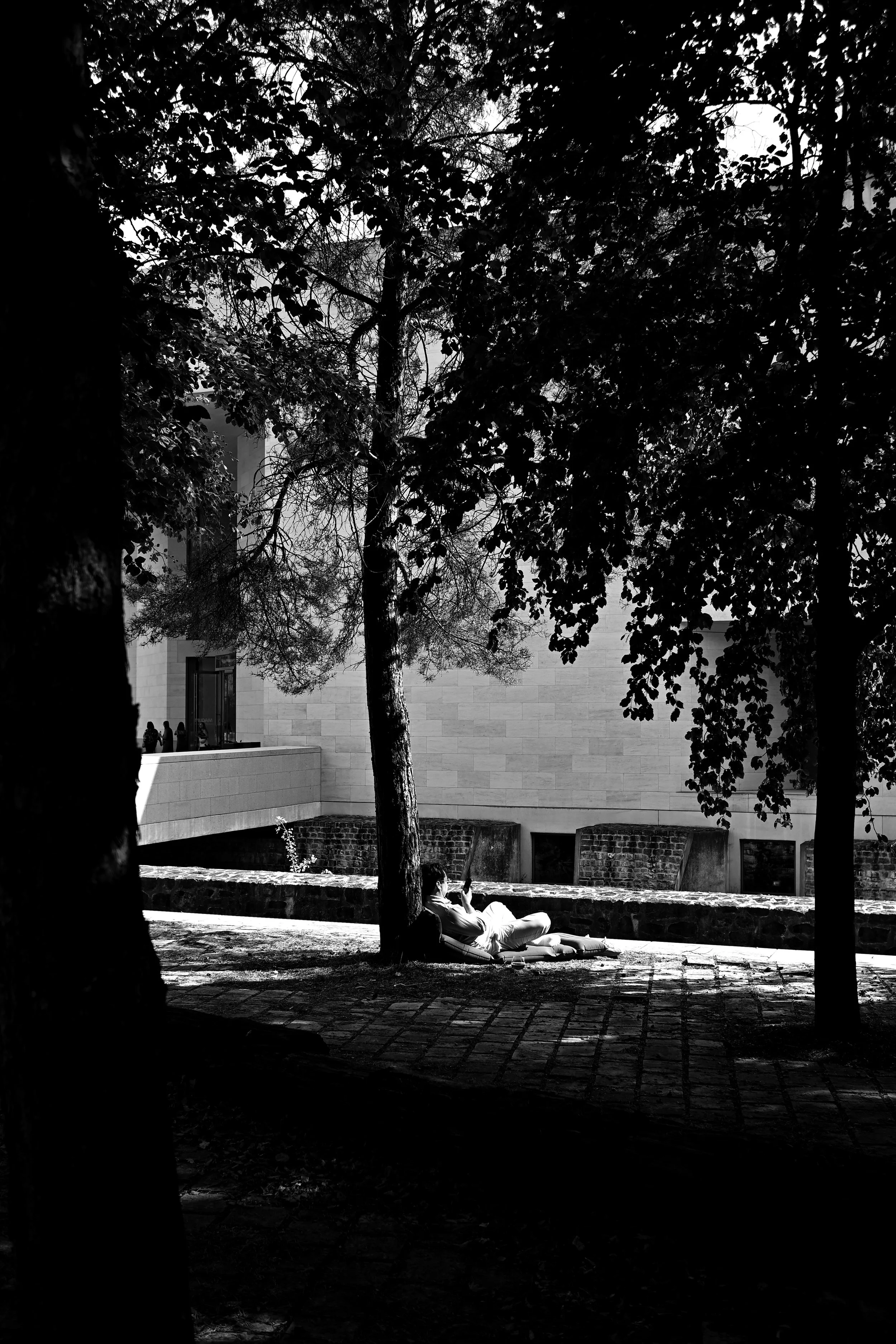 DSC_8032.JPG
