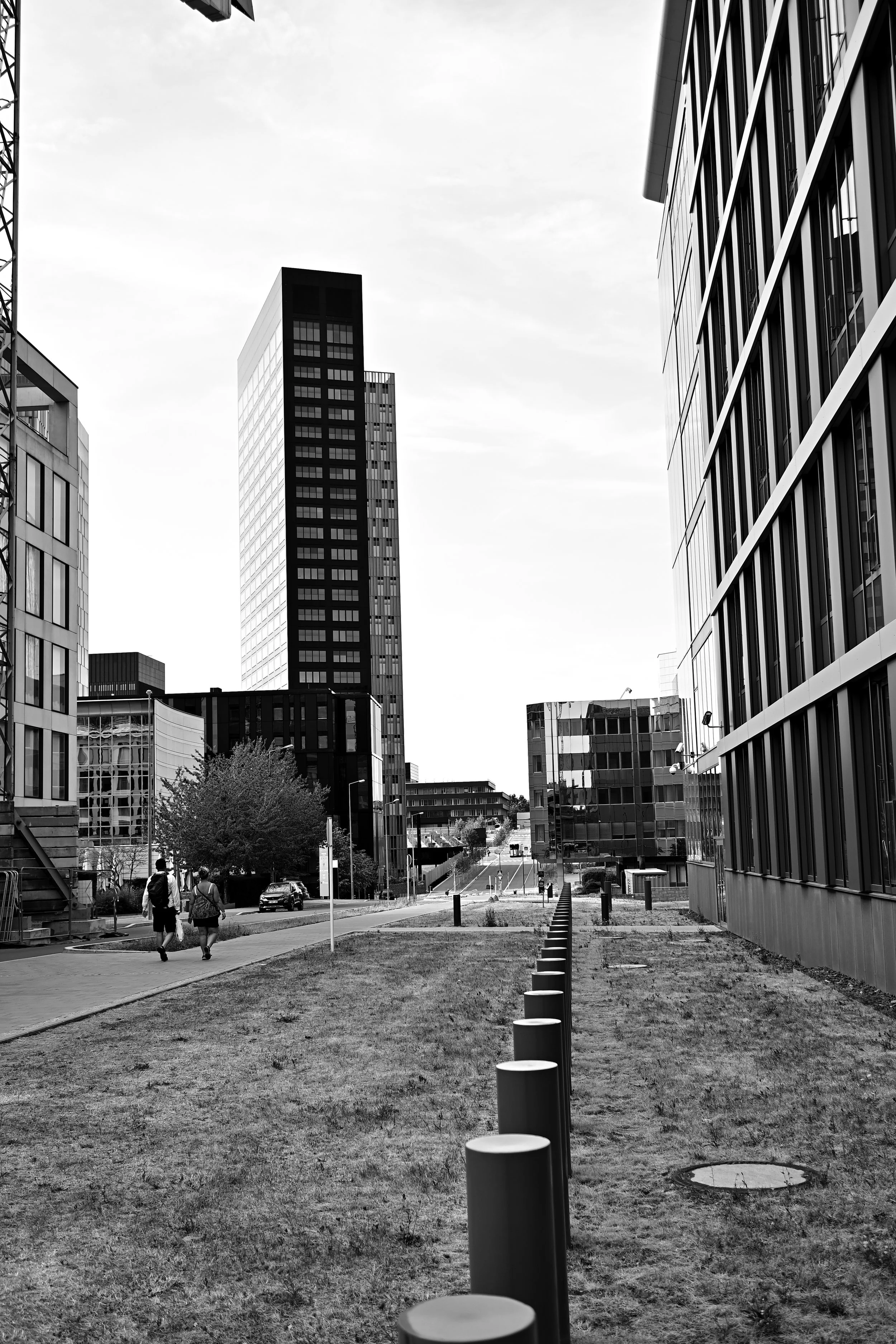 DSC_8021.JPG