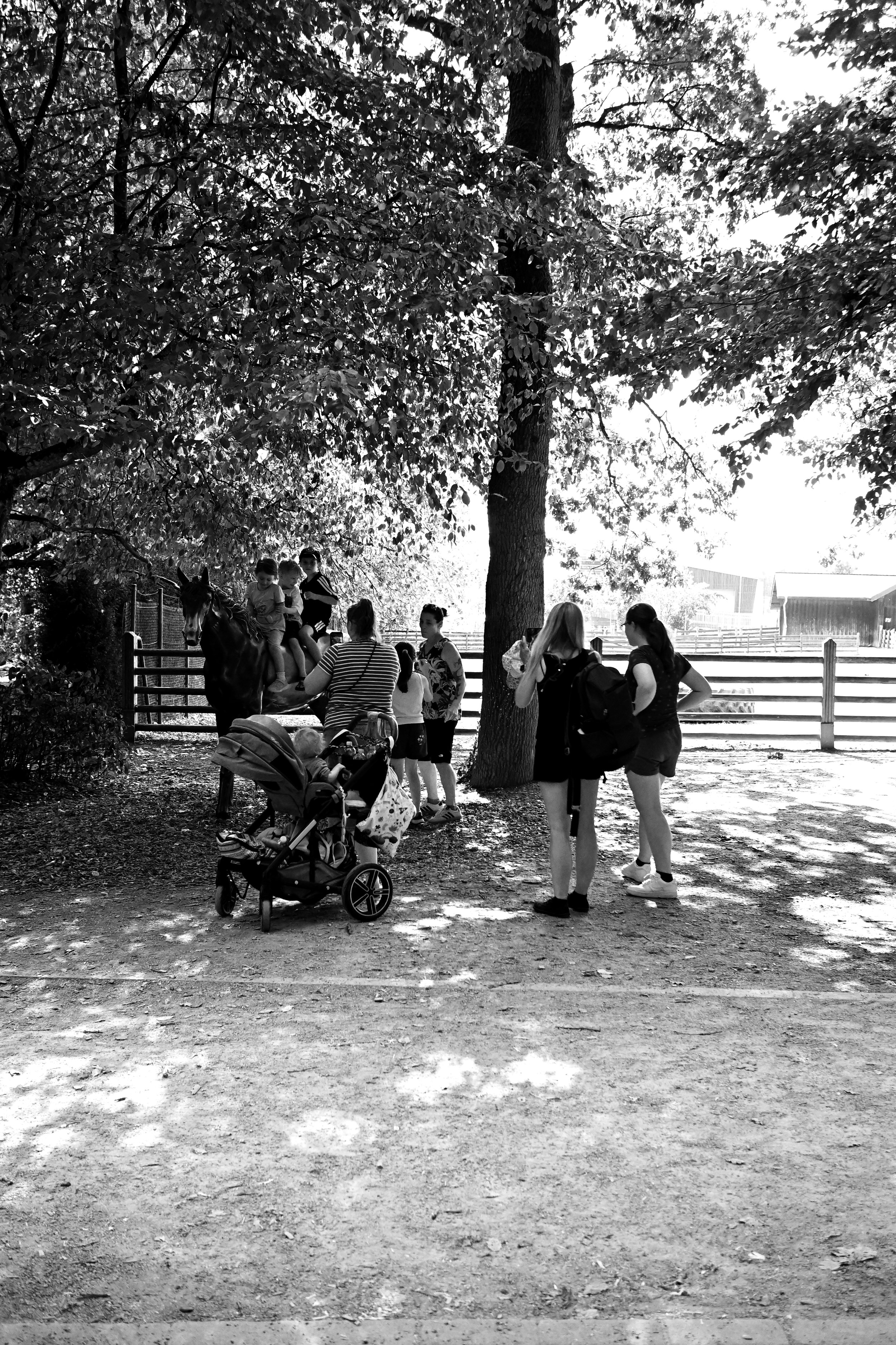 DSC_6687.JPG