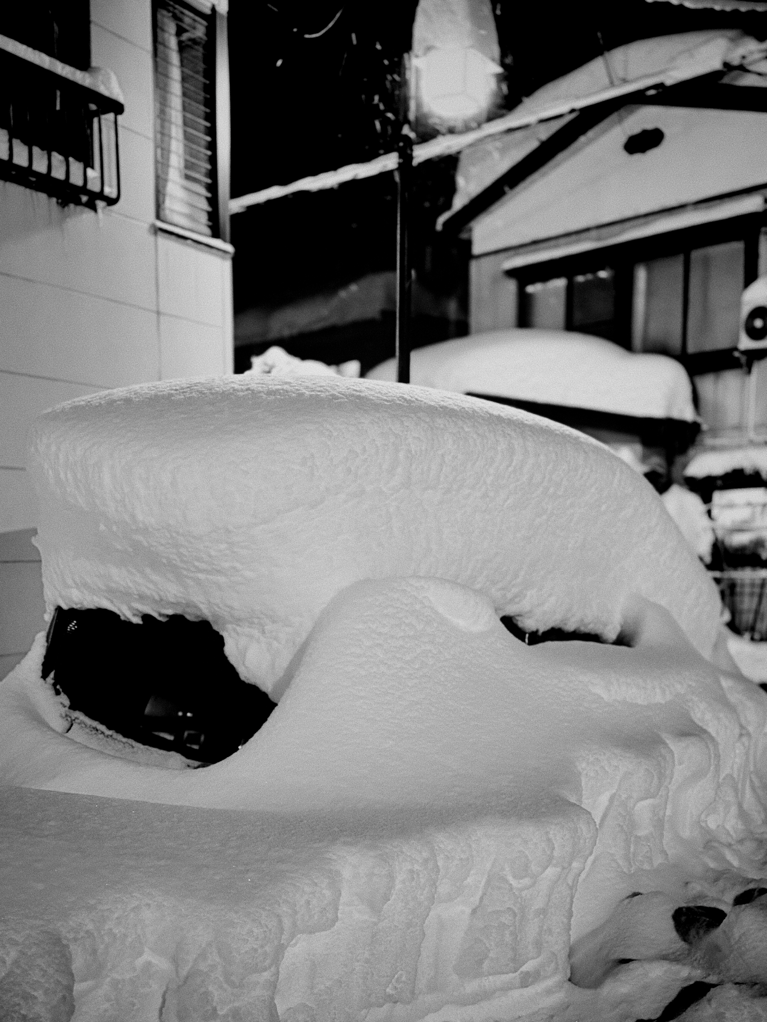 Deep snow skiing in the Yuzawa Valley, Japan.