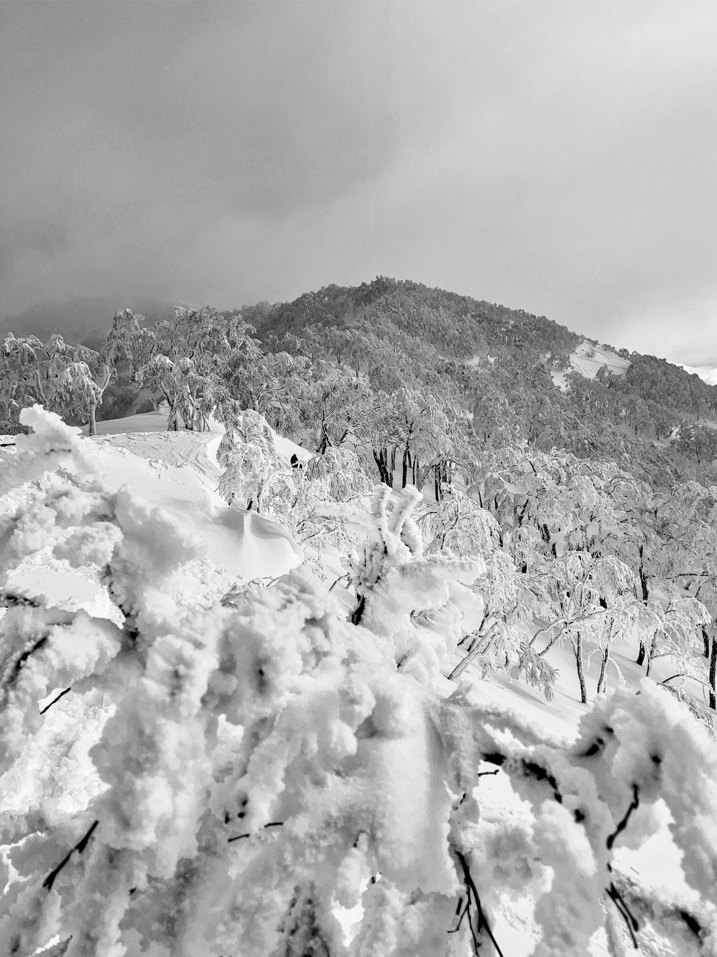 Mt. Shiribetsu hiking, multiple laps, no one around.