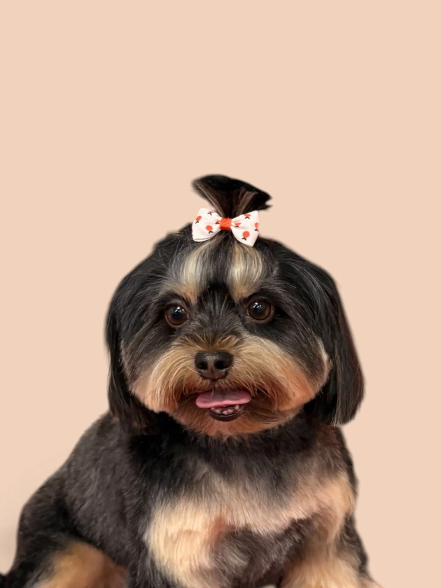 A cute puppy with black, gray, and tan fur, wearing a white bow with red polka dots on its head, against a beige background.