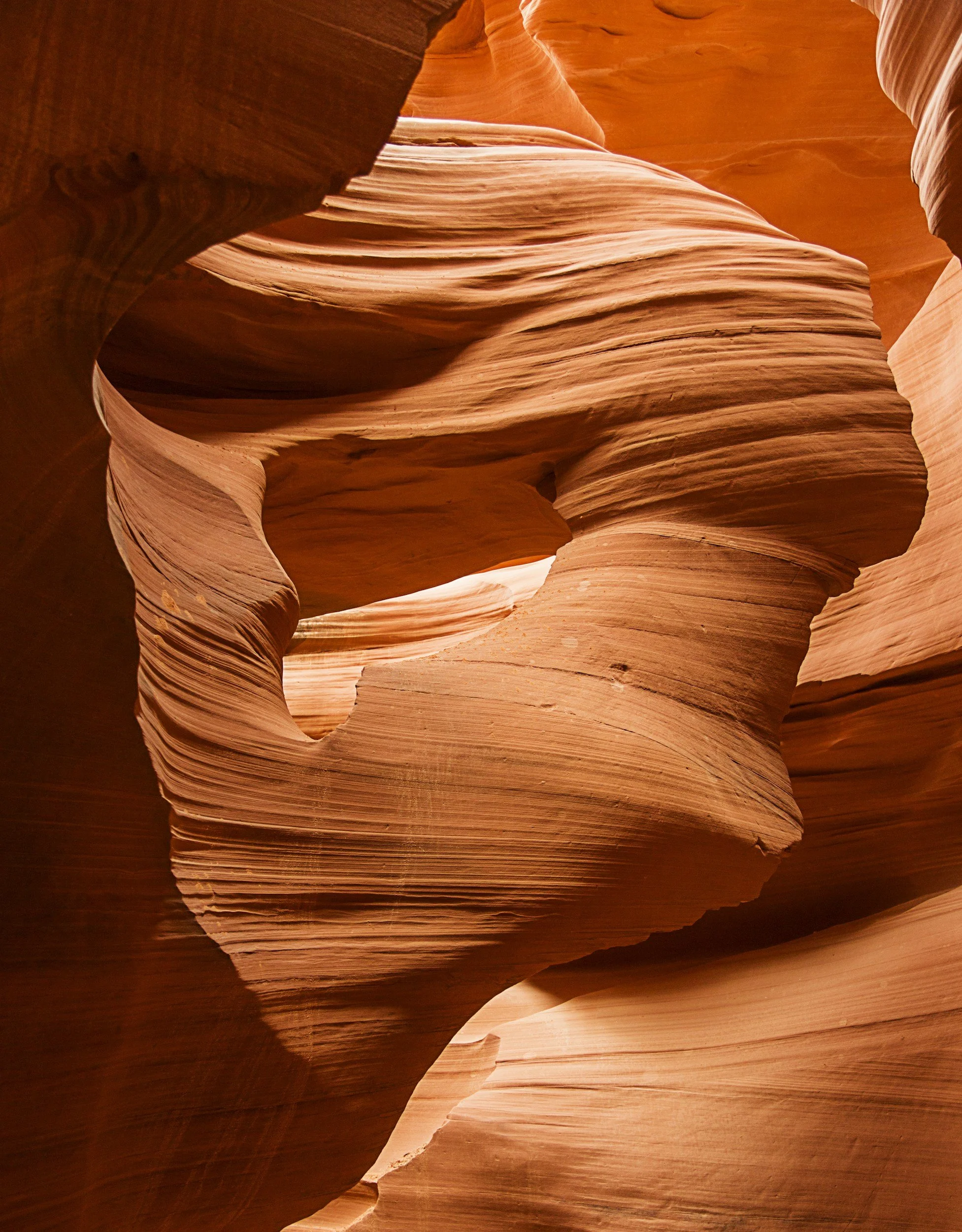Why We Can’t Think Our Way Out of Stress