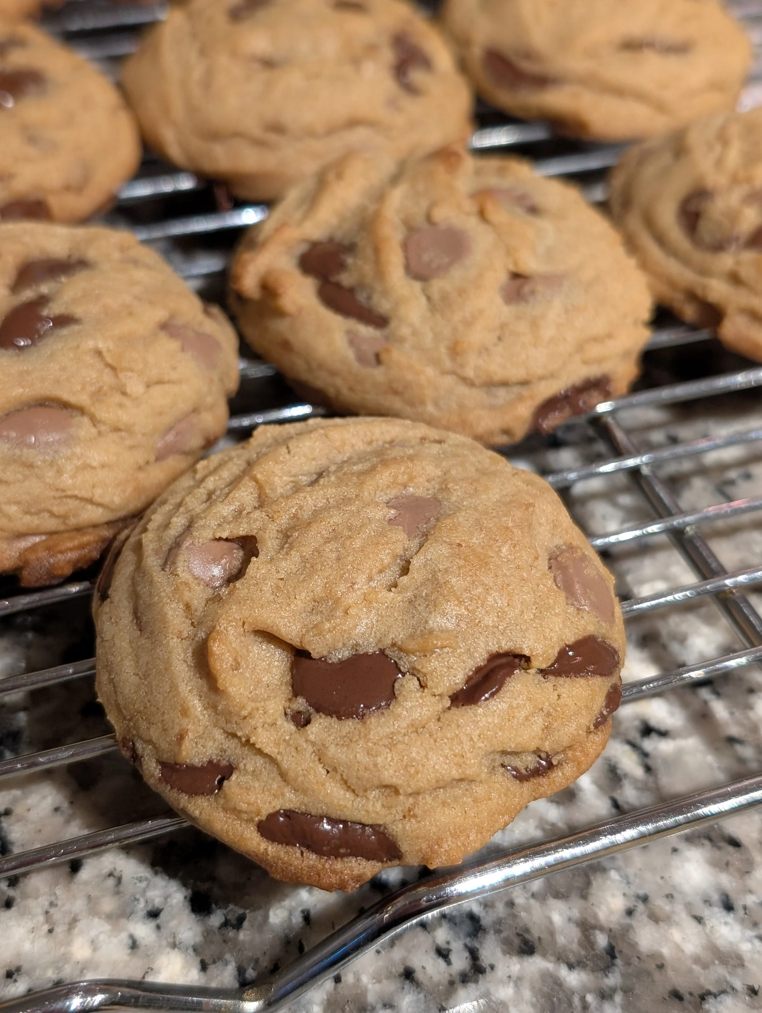 Chocolate chip cookie with melty chocolate