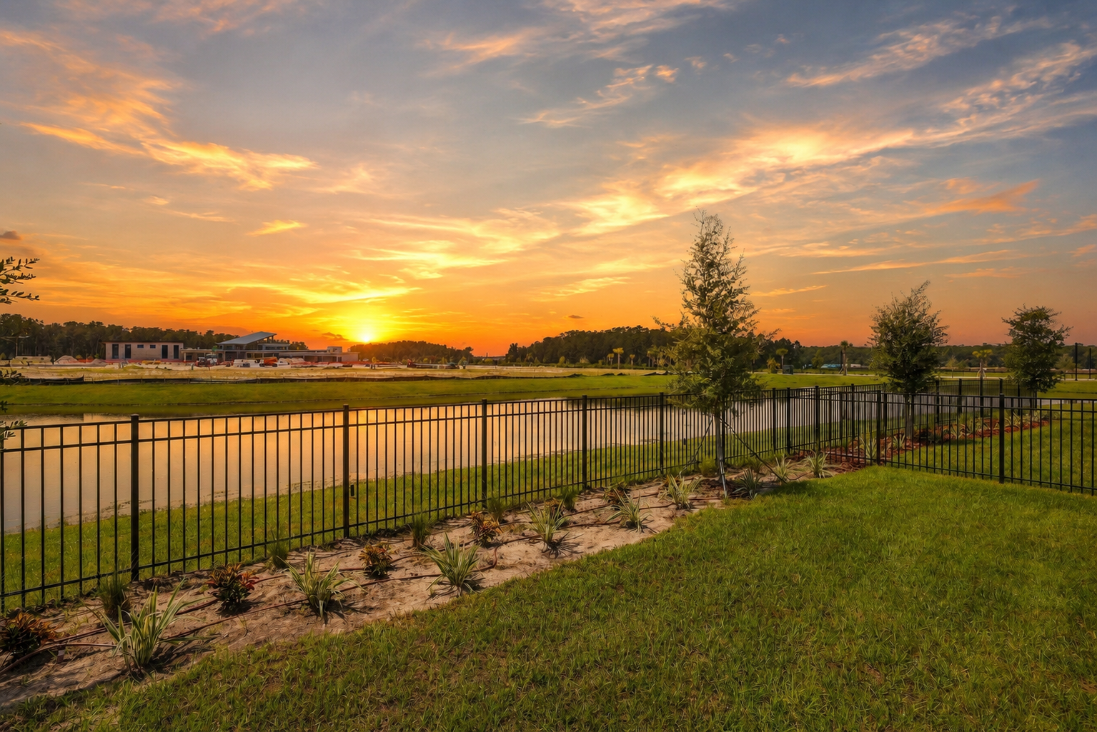 Sunset over a landscaped yard with small trees, a pond, and a black metal fence, with a building and parking lot in the background.