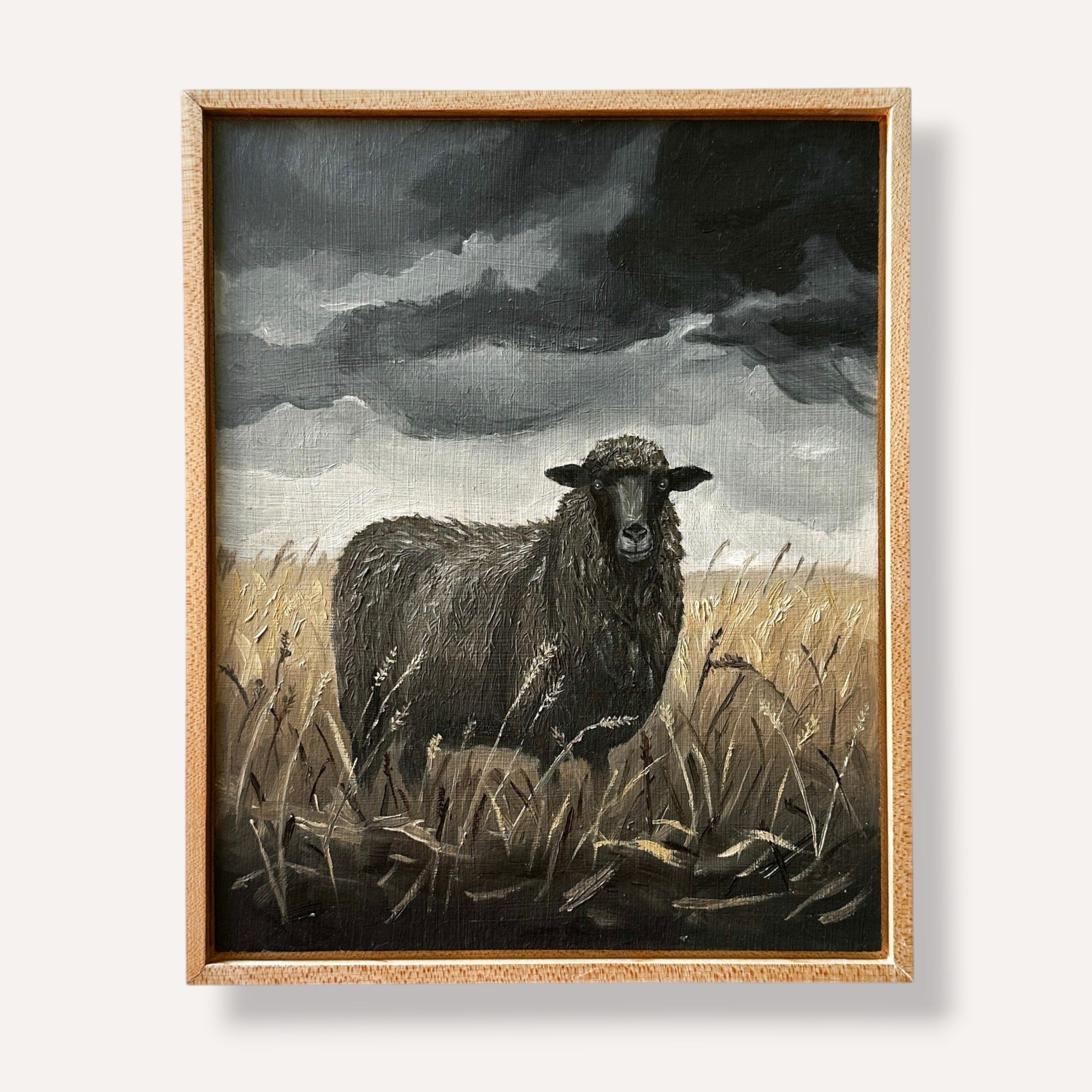 Black Sheep · 8×10