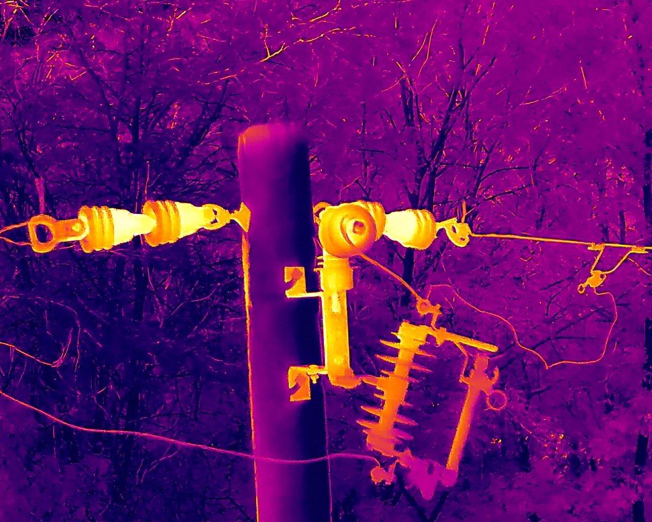 DJI_20260912170812_0017_T.JPG