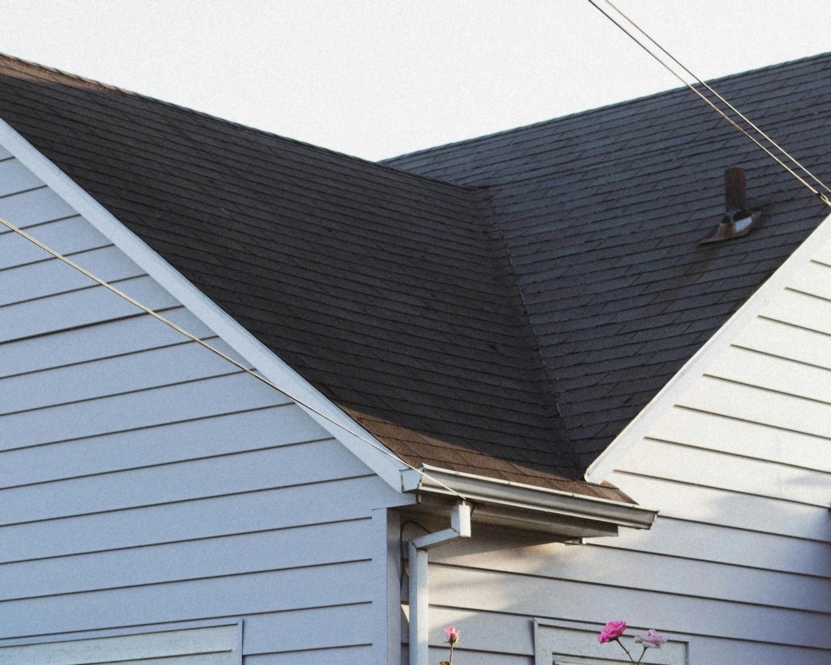 Close-up of a house roof with black shingles, white siding, and a flower in the foreground.