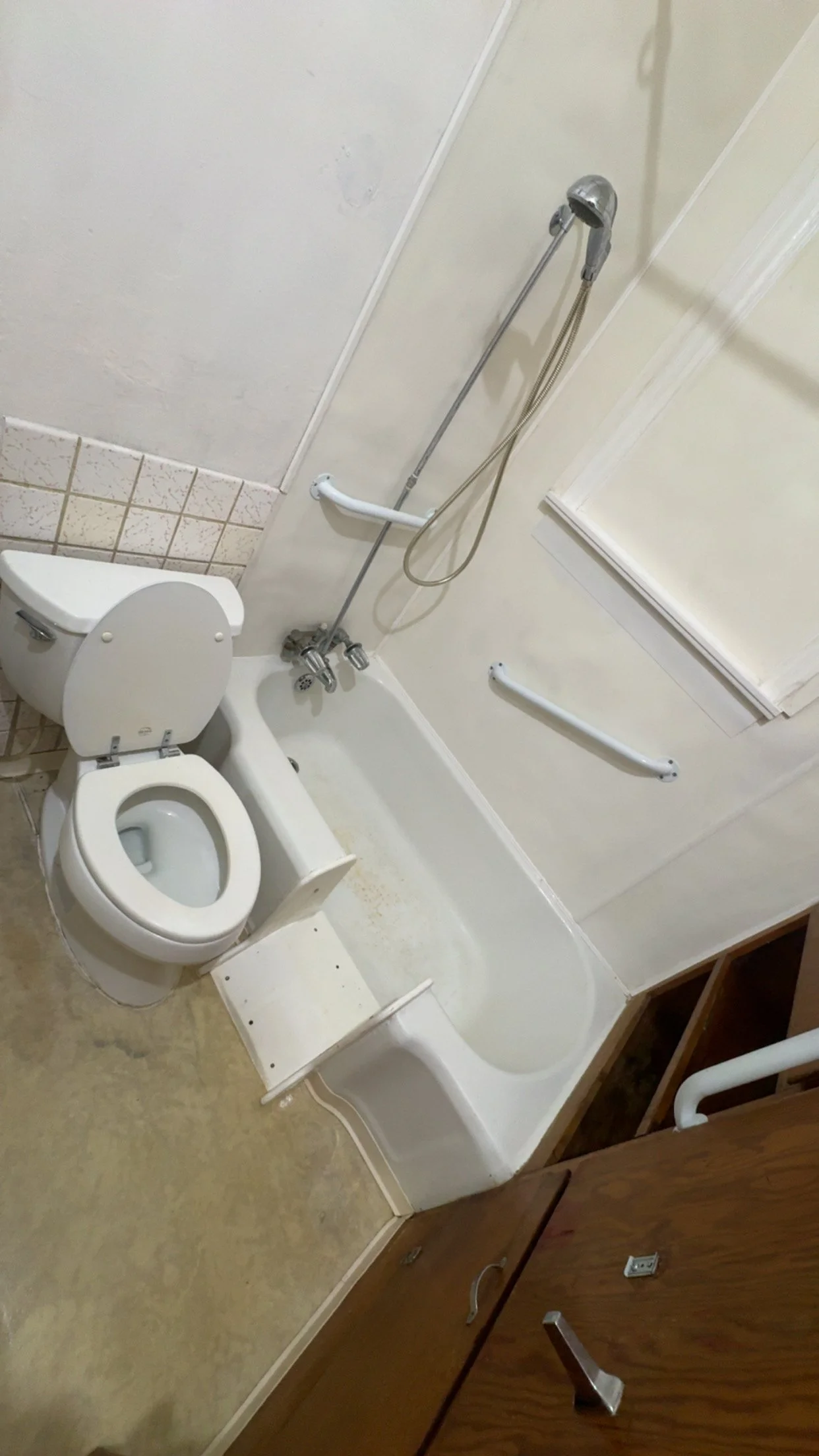 Bathroom with a toilet, a shower with grab bars, a small bathtub, and a wooden cabinet.
