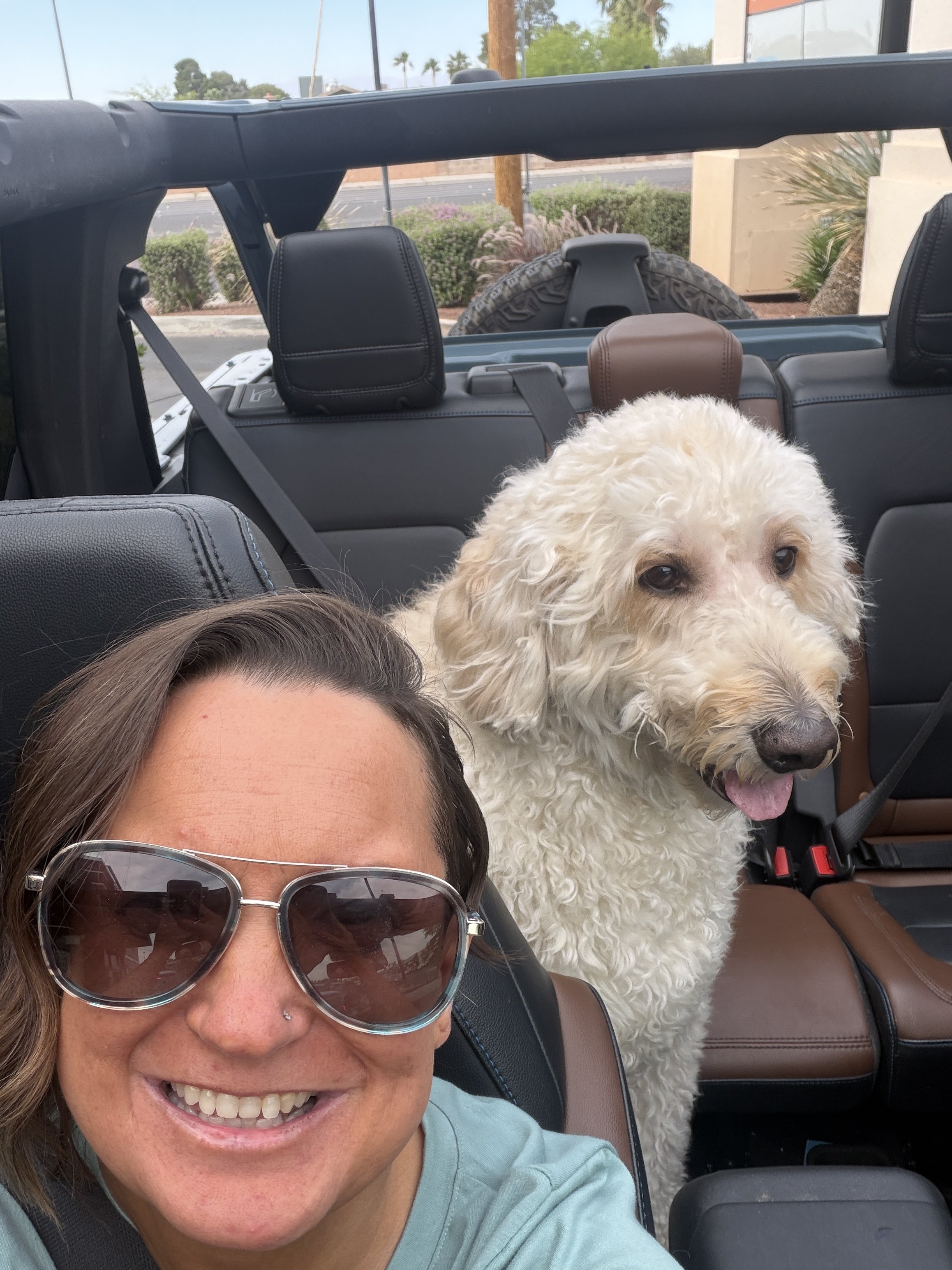 Kim Ast wearing sunglasses smiling in a car with a large fluffy dog sitting behind her, visible through the front seats.
