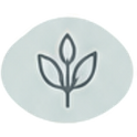 Minimalist gray botanical sprout icon with three leaves