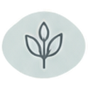 Minimalist gray sprouting plant icon on a light blue background