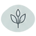 Minimalist gray line-art icon of a sprouting plant with two leaves