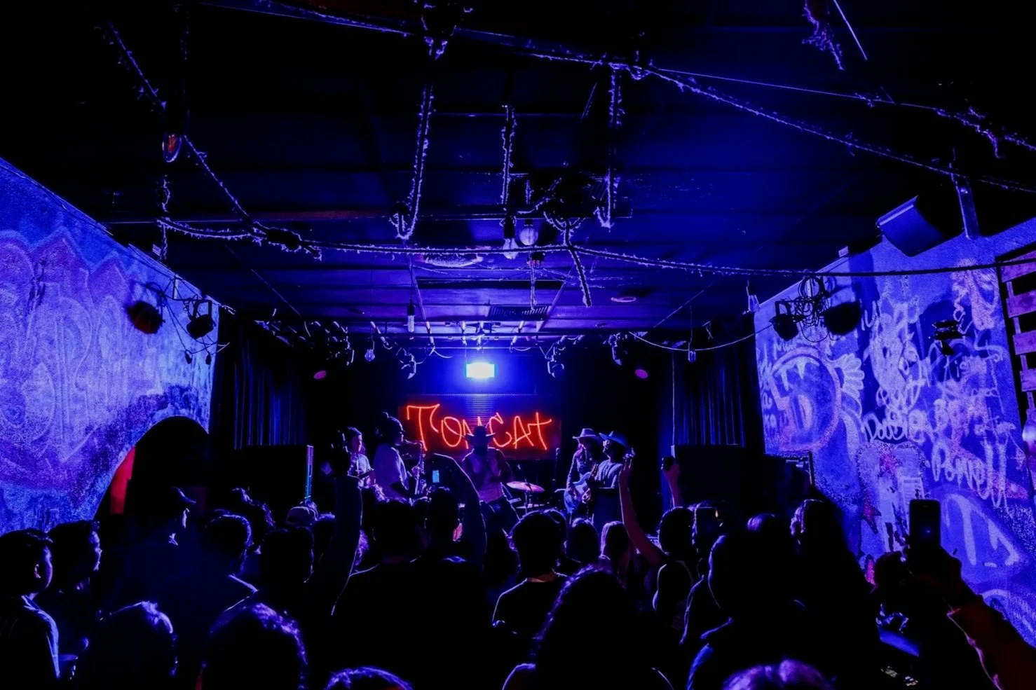 A live music performance on a stage illuminated with purple and blue lighting, with a neon sign that reads 'TOMCAT' in the background, and an audience watching