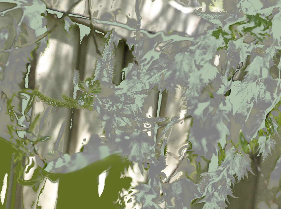 Green 11.6 x 8.7 inches.png