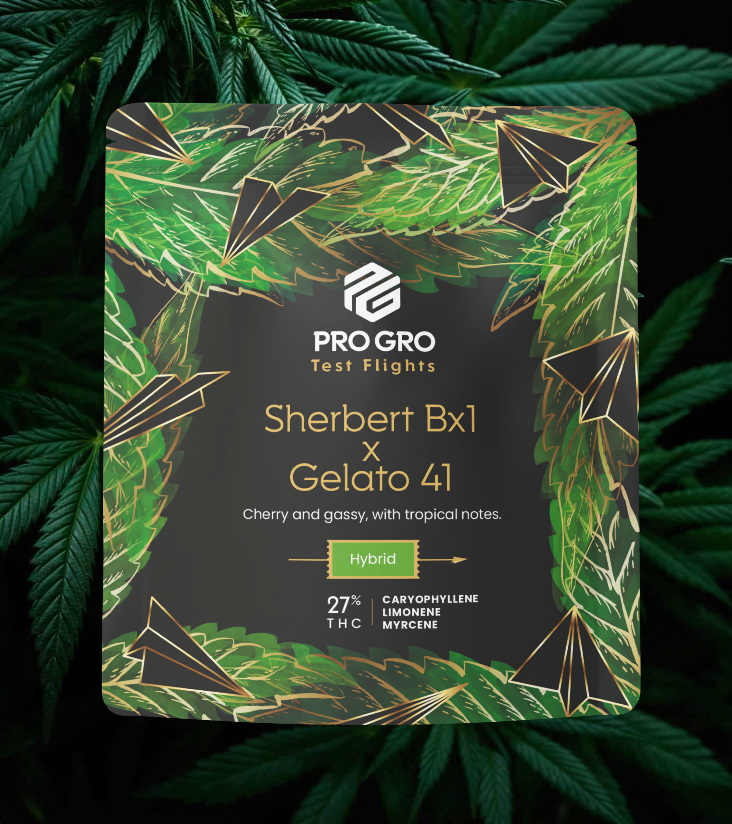 progro_packaging_v2.png