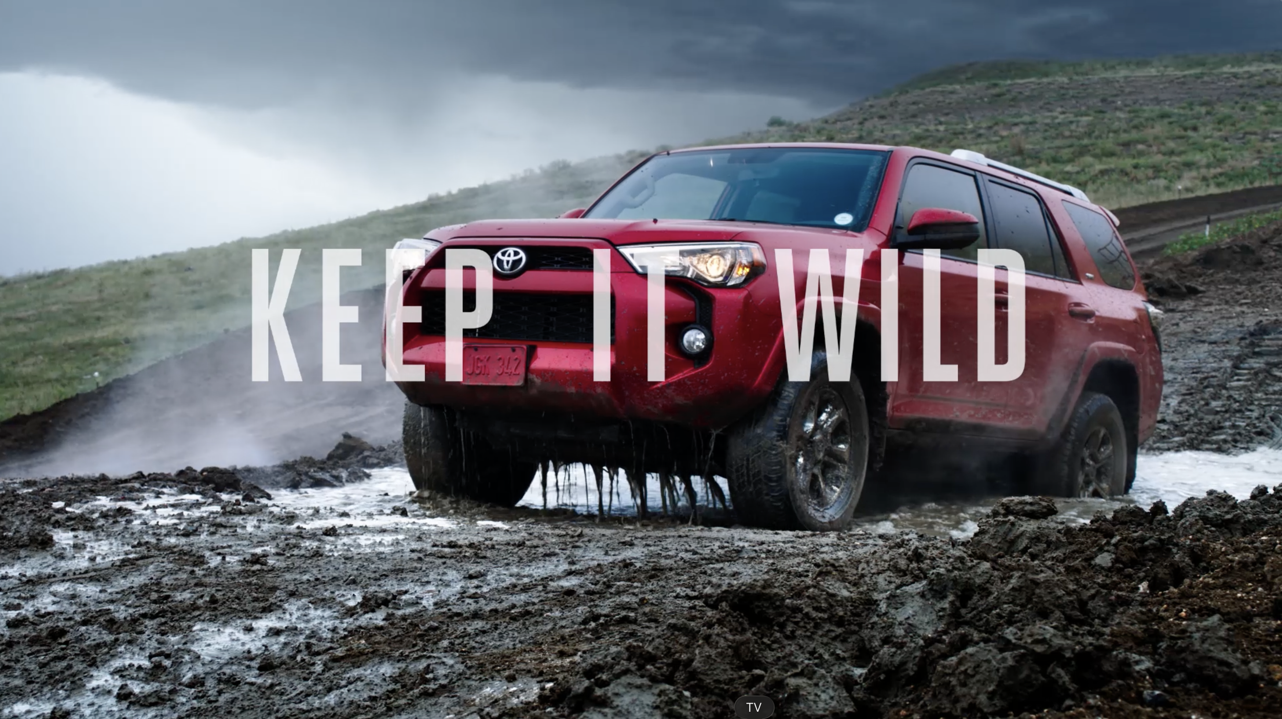 Keep it Wild