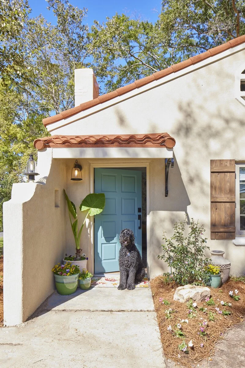 Front porch of a house with a light blue door, potted plants, and a black curly-haired dog sitting on a welcome mat.