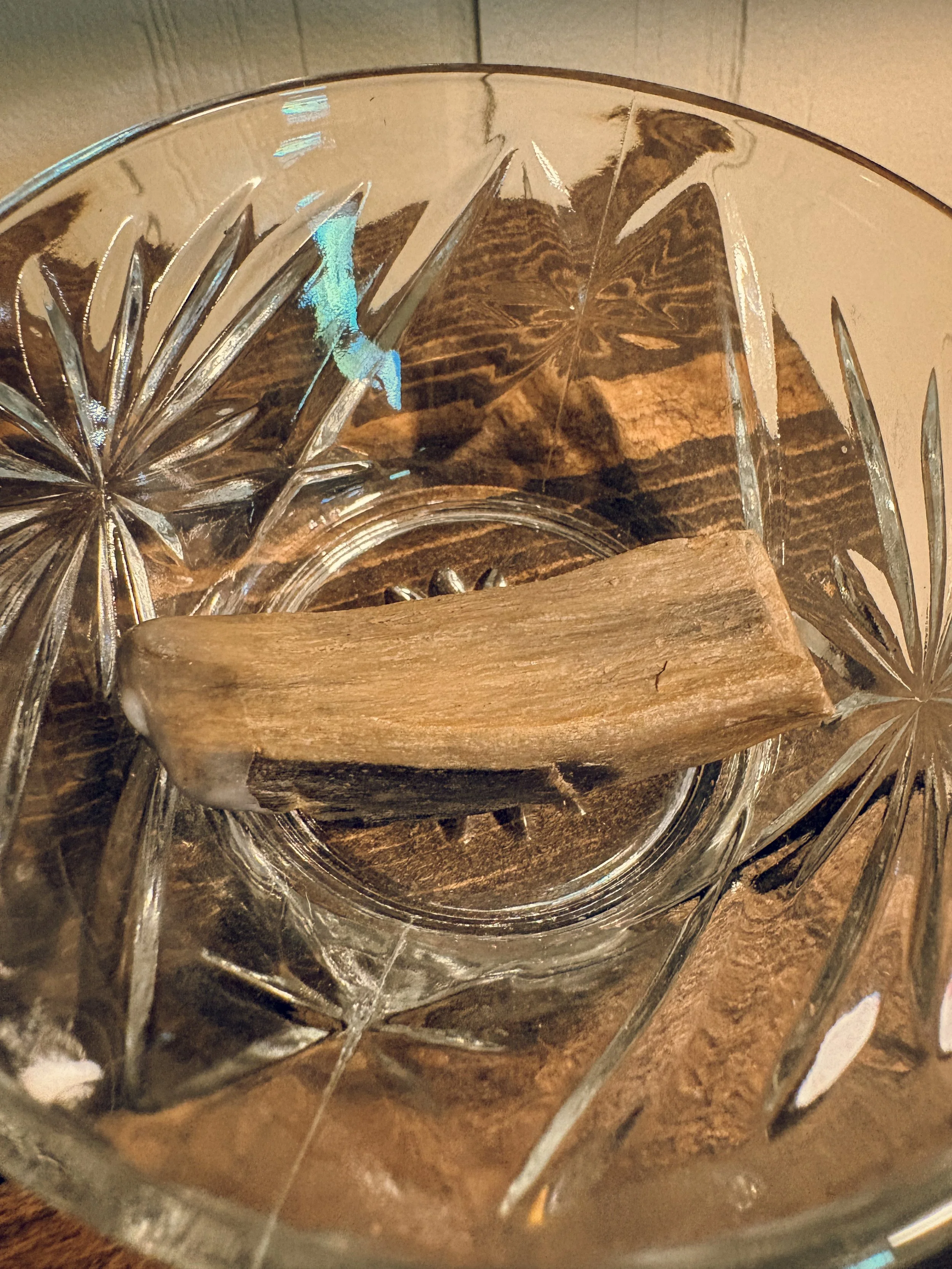 petrified wood.jpg