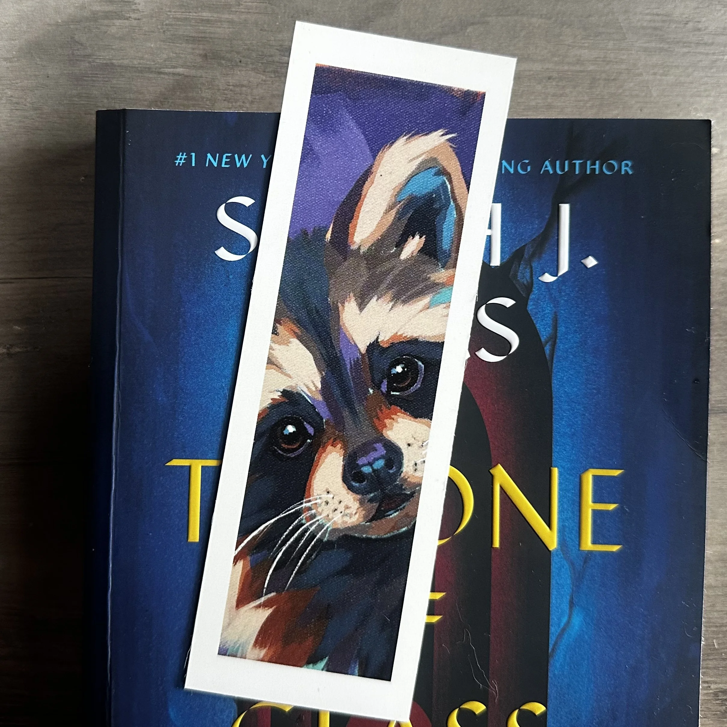 Reggie Raccoon: Bookmark