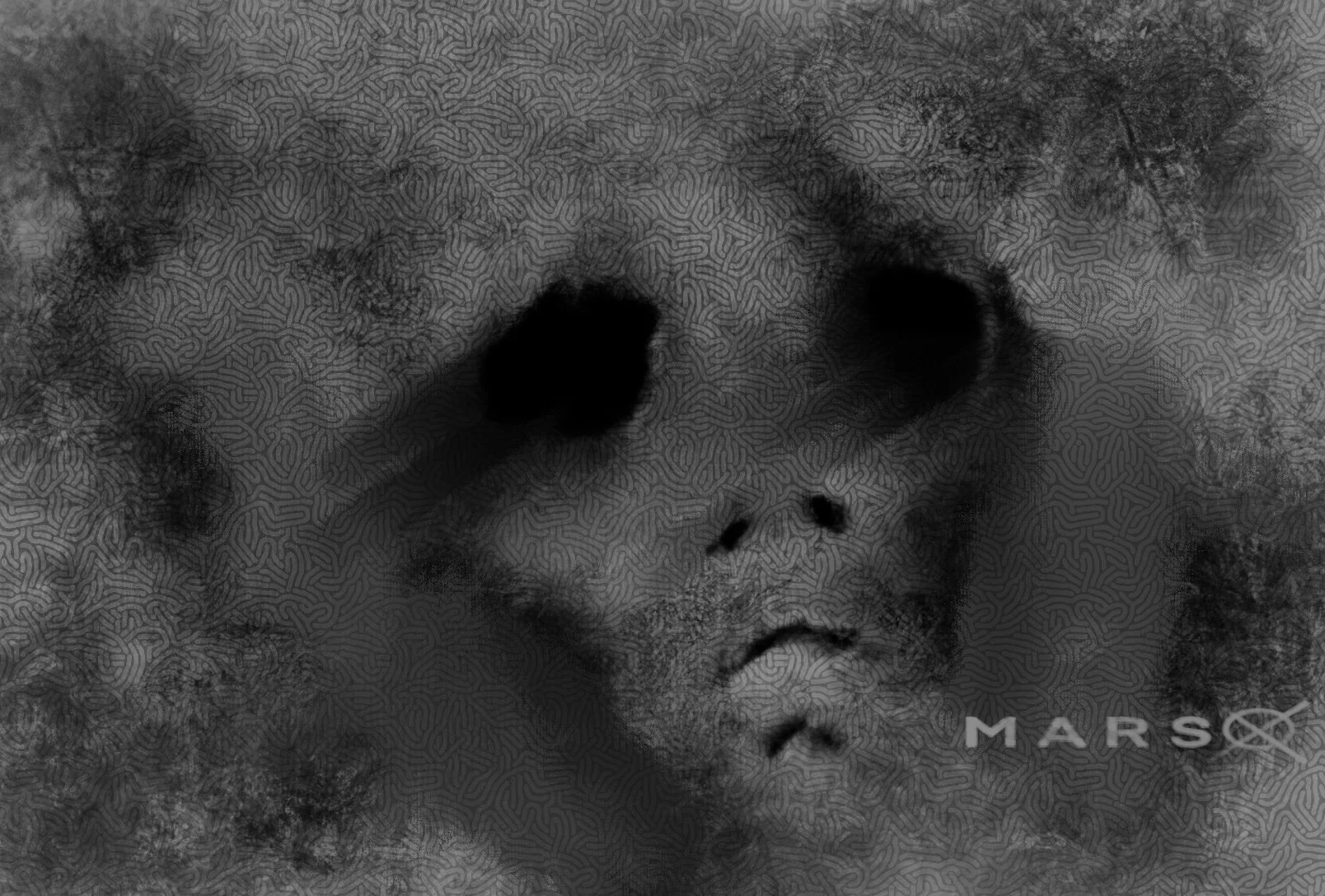 Face - 2026