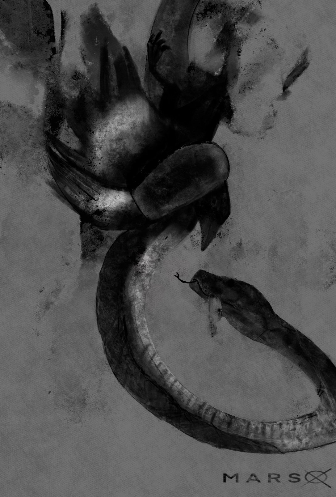 Snake and Bird - 2024