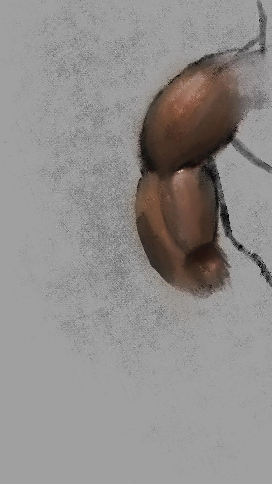 Skin sketch