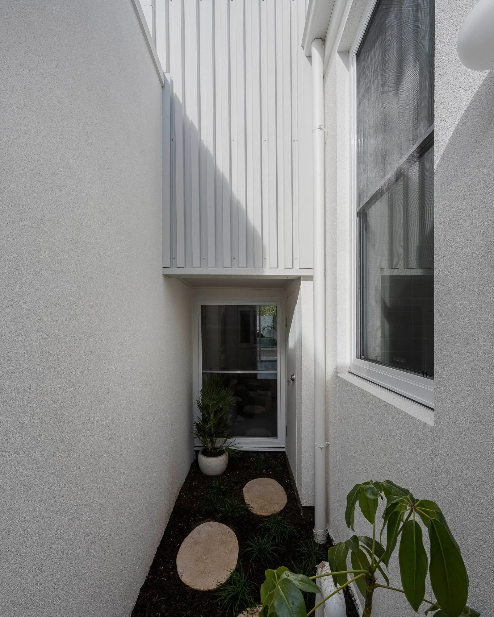 Small garden area with newly planted plants and stepping stones, enclosed by white exterior walls and a window with a screen.