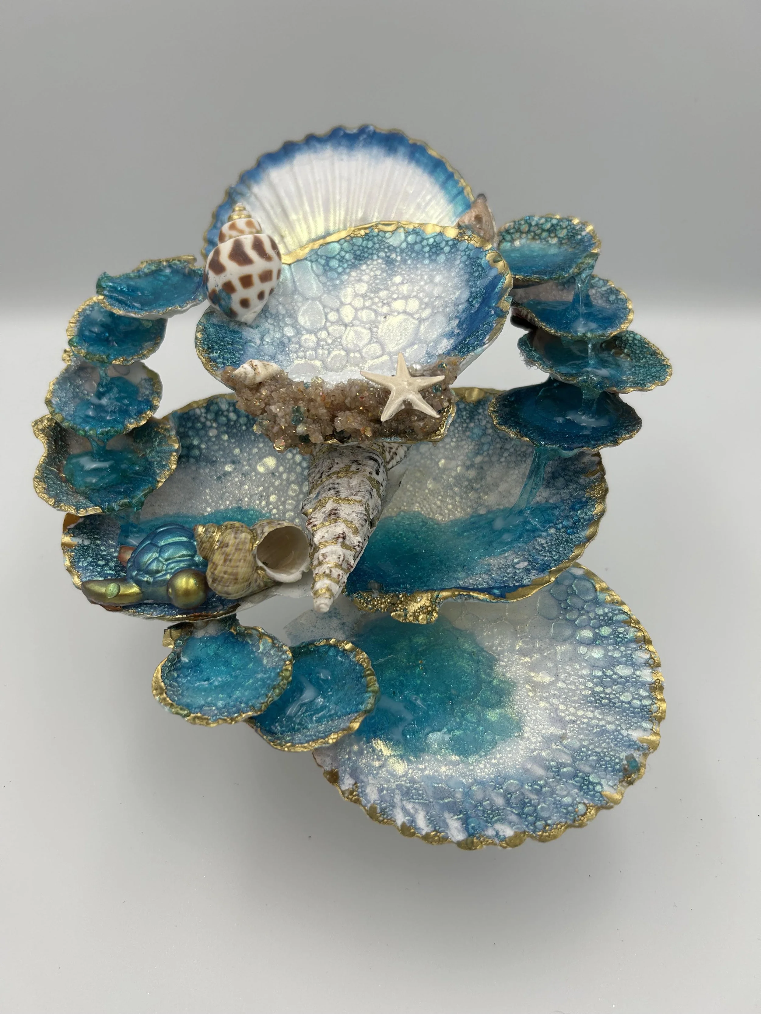 Azure Reef Shell Garden