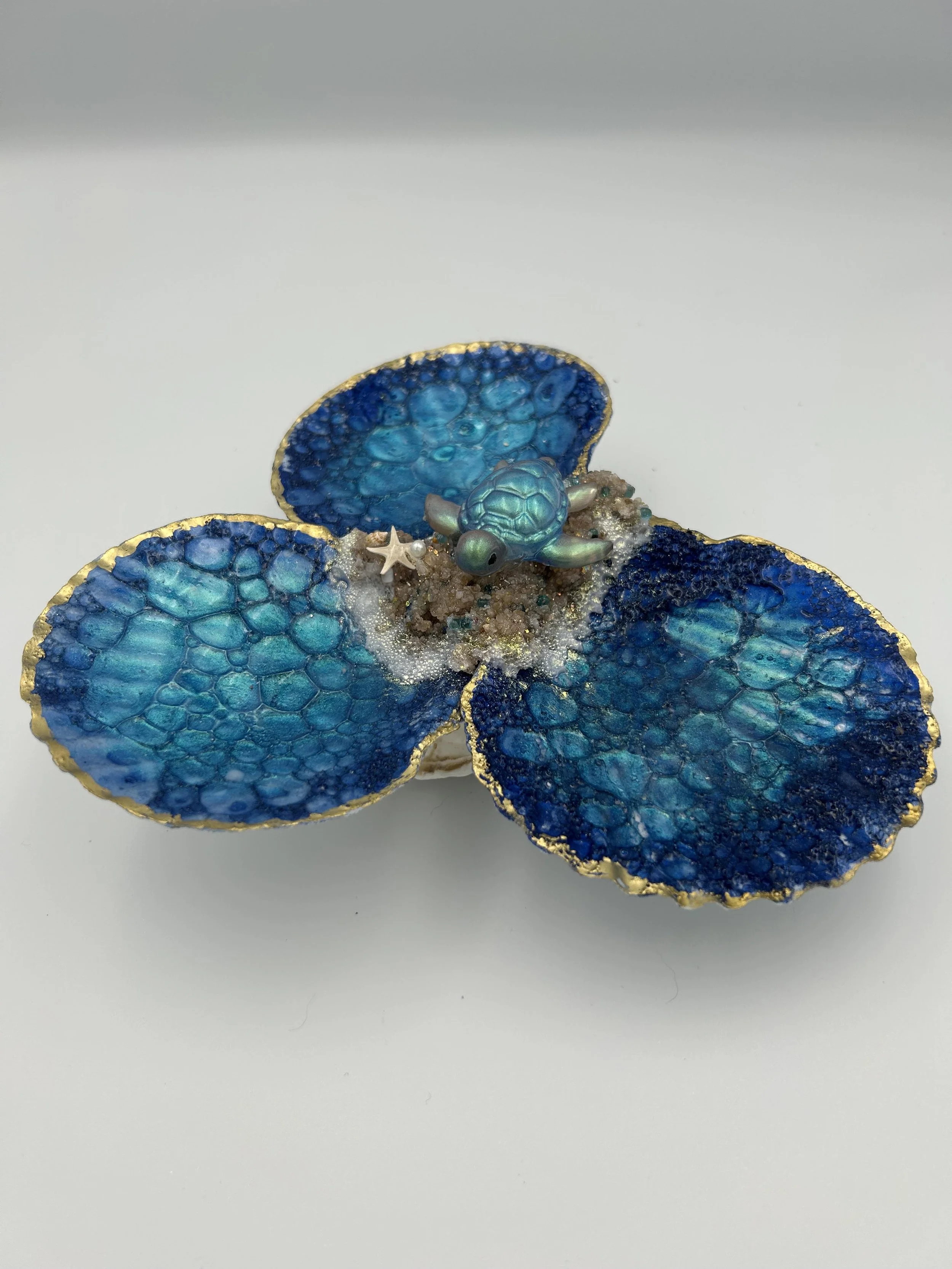 Tidal Bloom Shell Trio