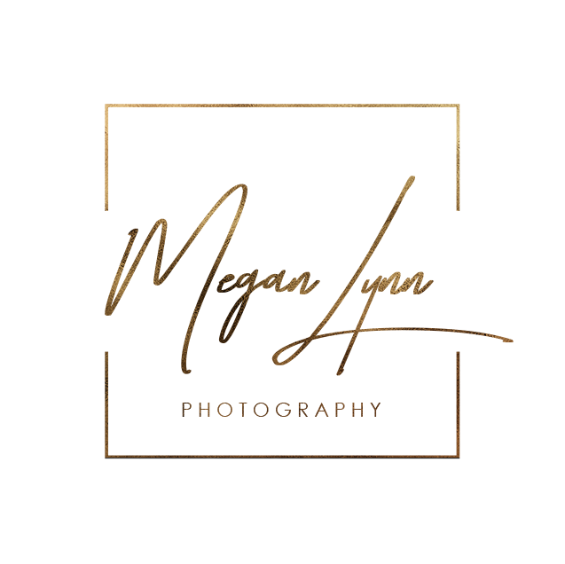 Black logo with gold cursive text reading 'Megan Lynn Photography' inside a thin gold square outline.