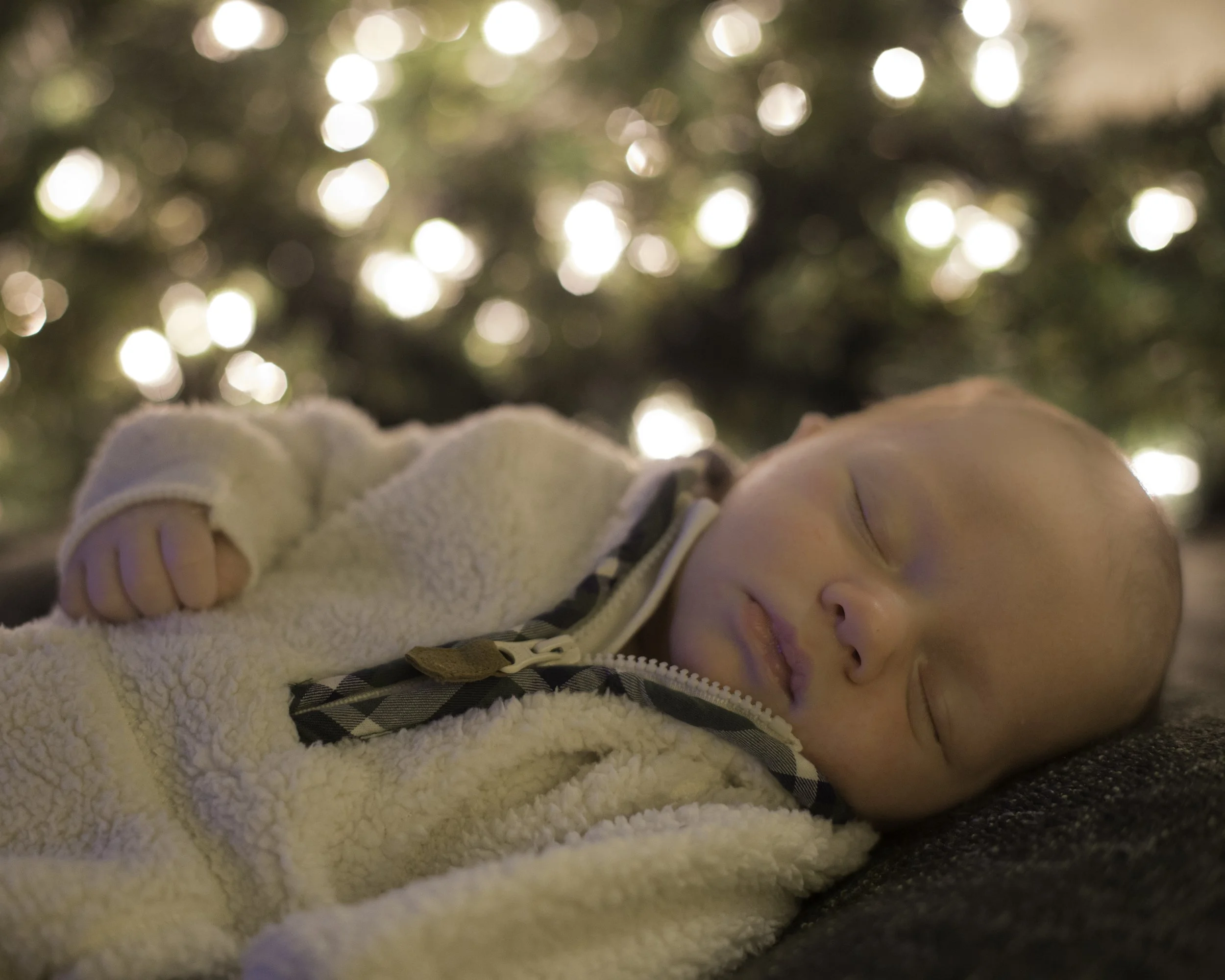 family-photographer-holiday-christmas-photos.jpg