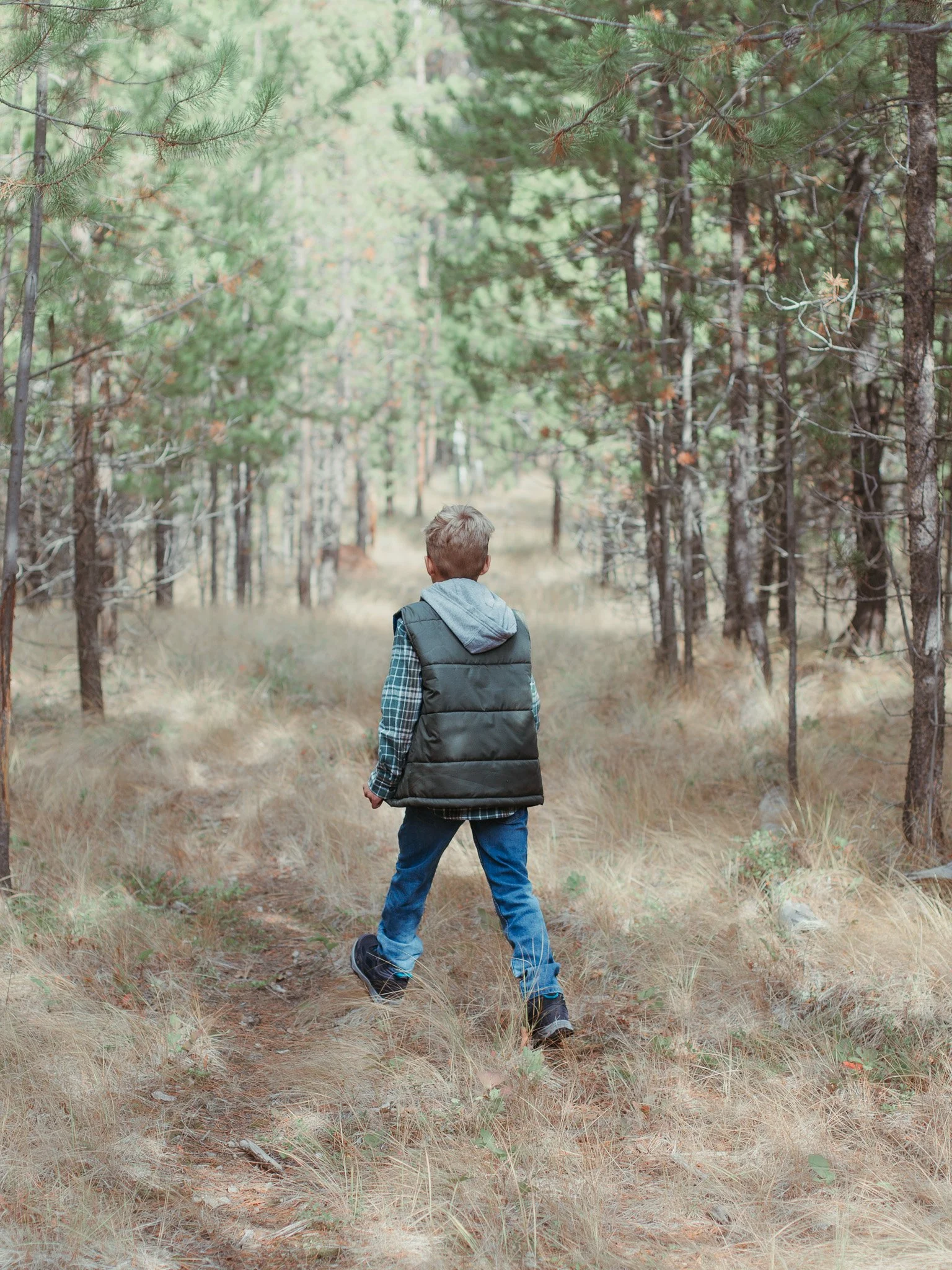 Back view of a person walking through a forested trail, surrounded by pine trees and dry grass.