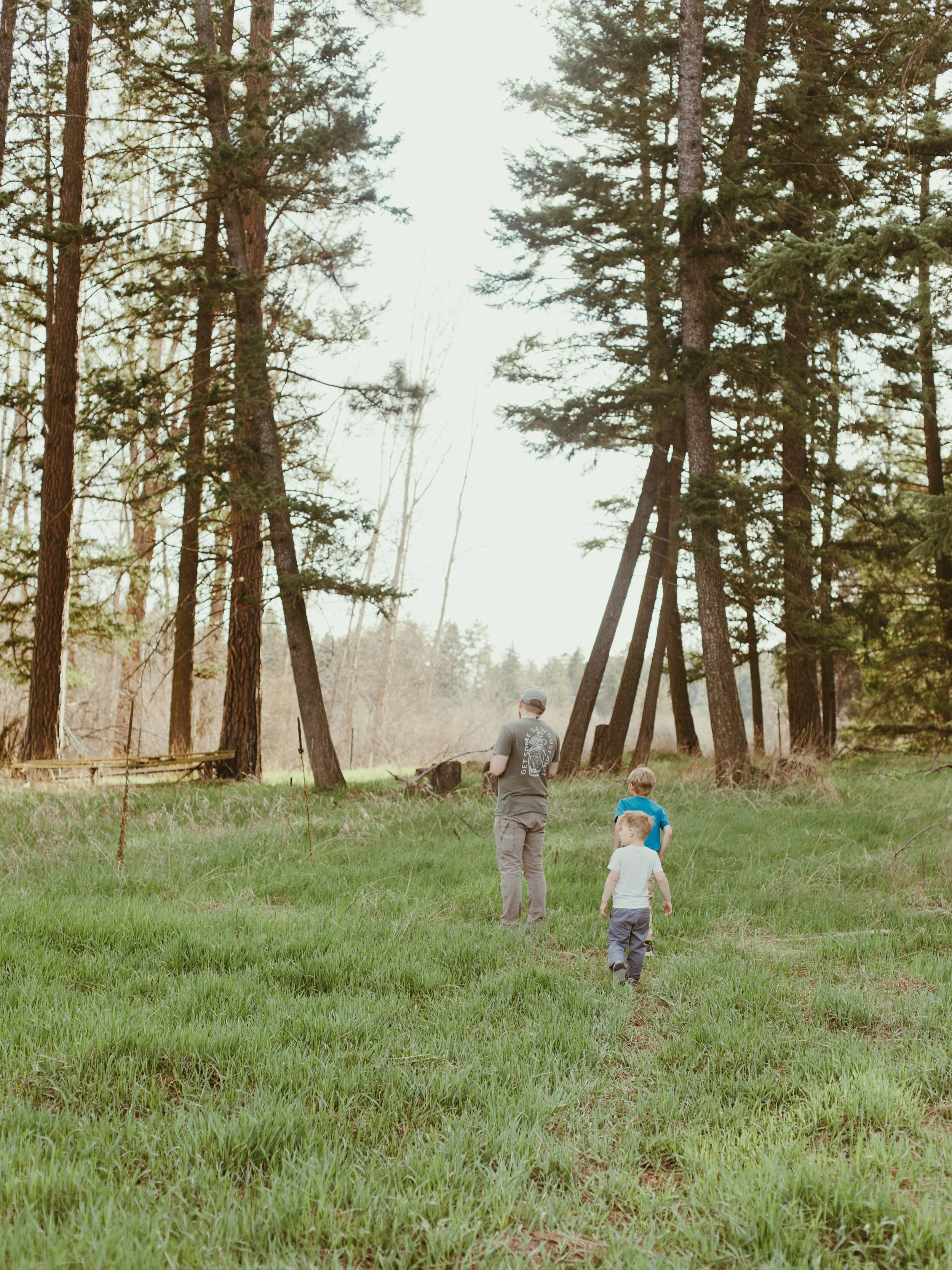 A man and three children walking through a grassy field in a forest with tall pine trees, during daytime.
