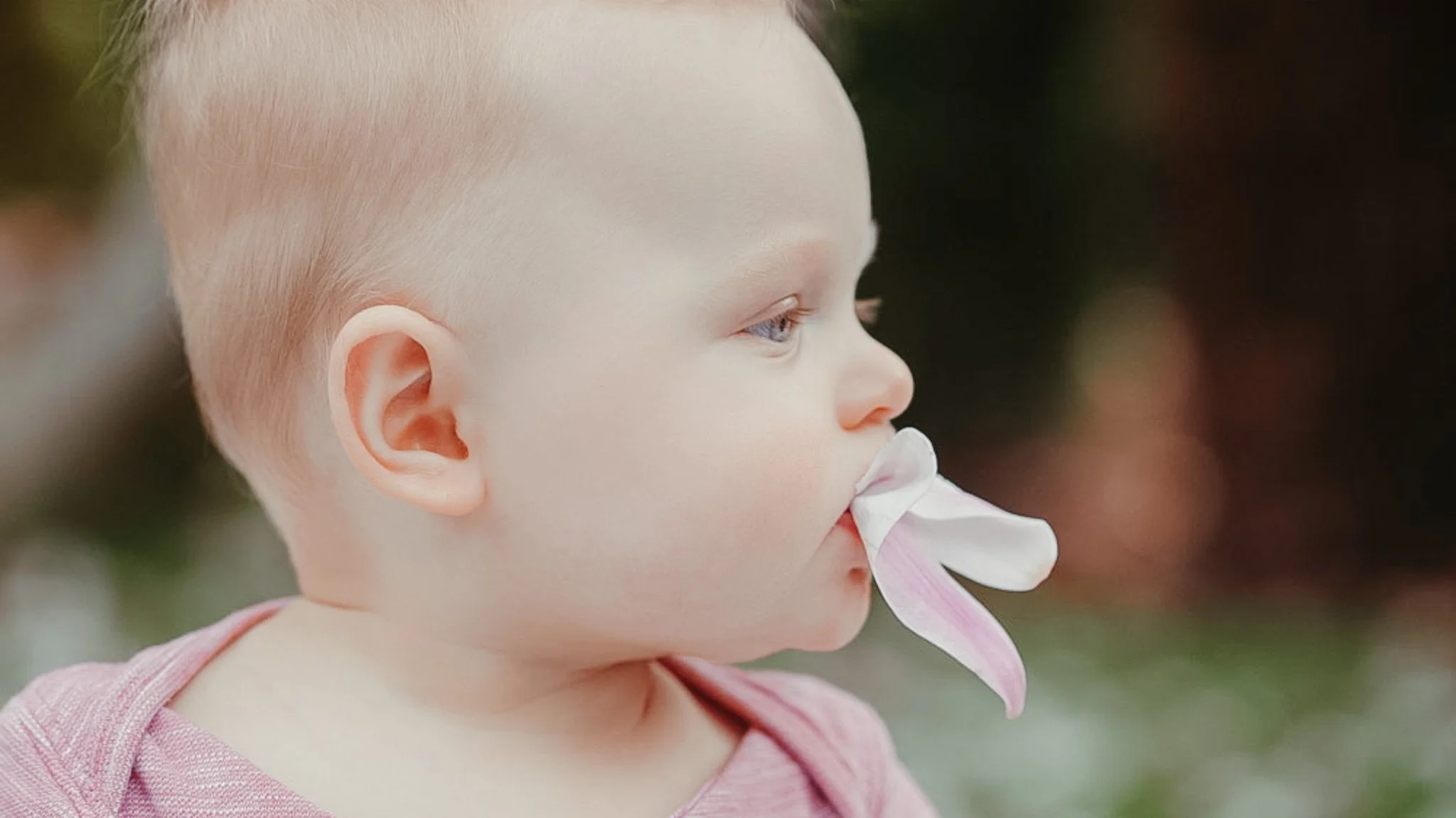 Close-up of a baby with light skin and blond hair, holding a pink flower near its mouth, looking to the right.