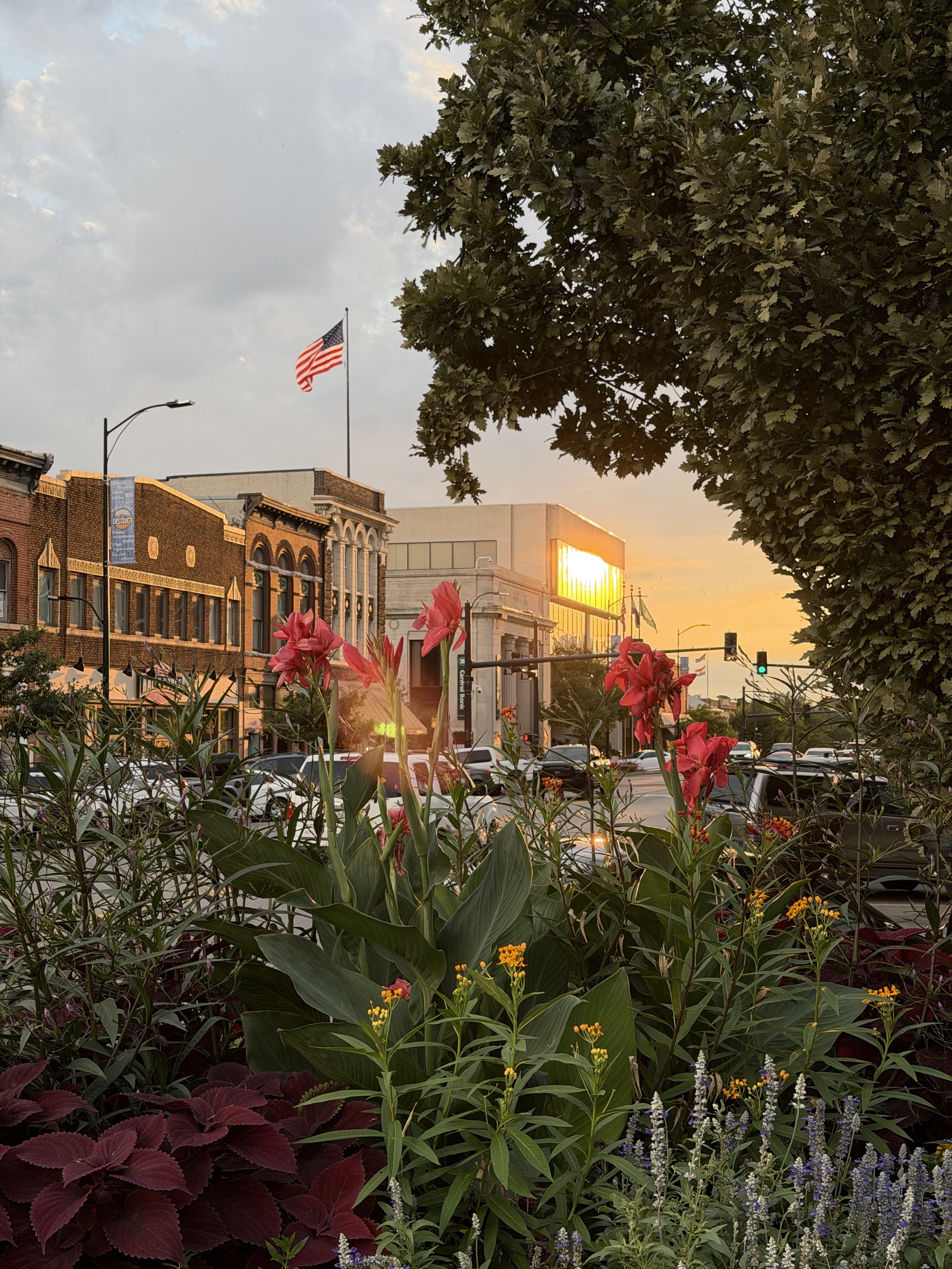 City street with older brick buildings, American flag on pole, sunset reflecting off modern building, and colorful flowers in foreground, including red, purple, yellow, and green foliage.