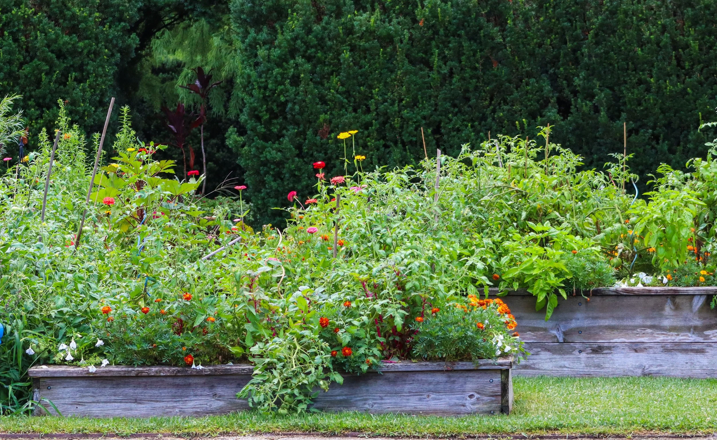 Raised bed garden