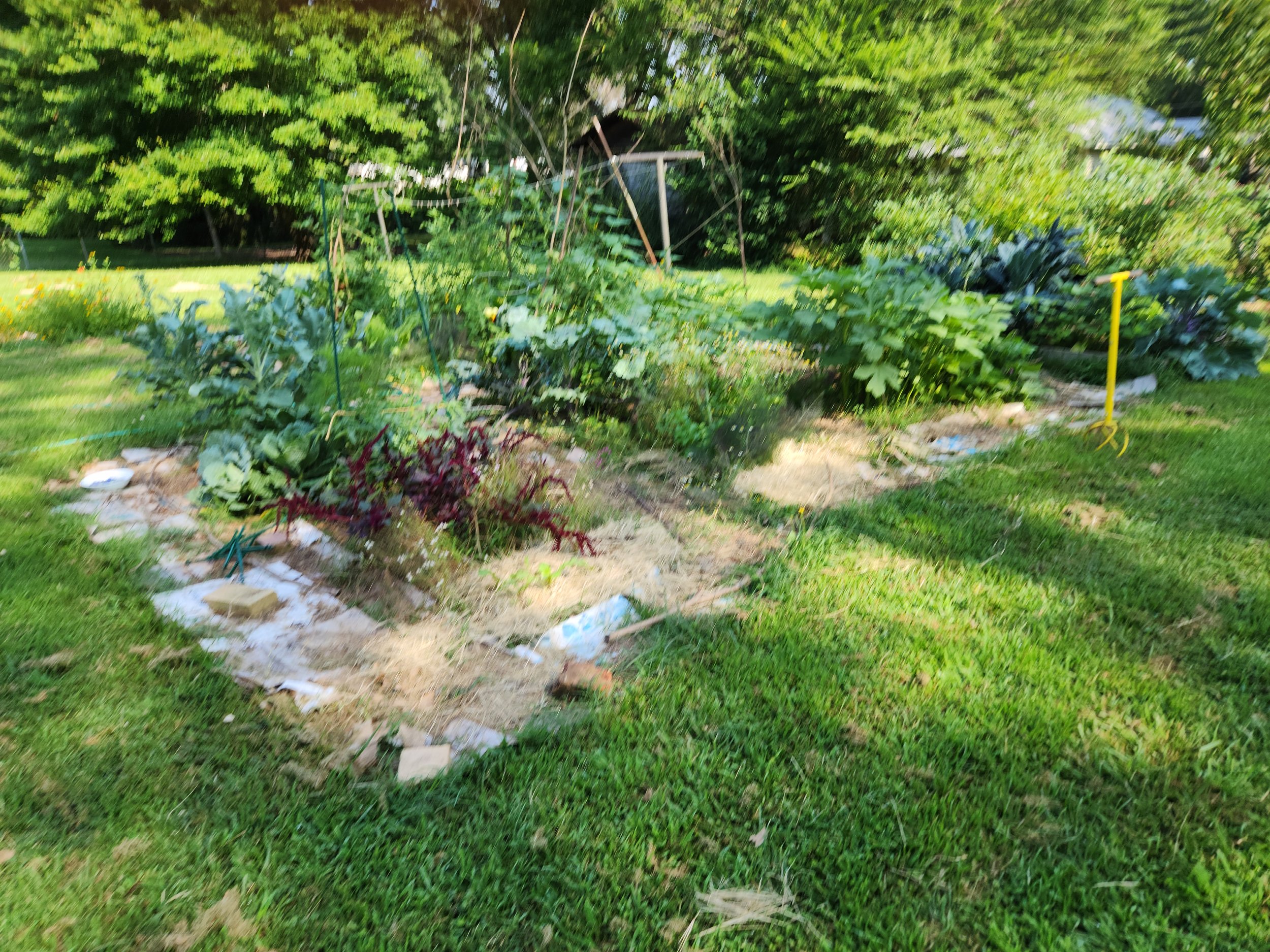 In-Ground Garden