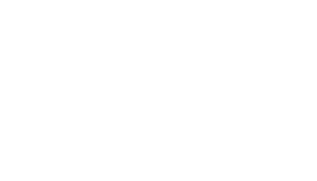 enrivision