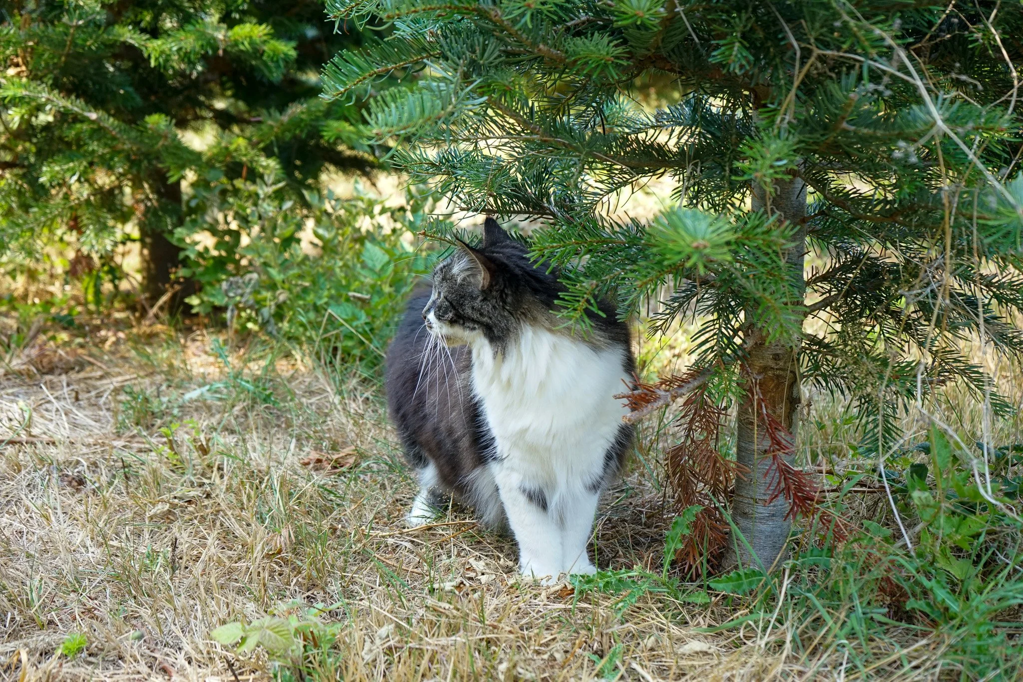 DSC07739.jpg