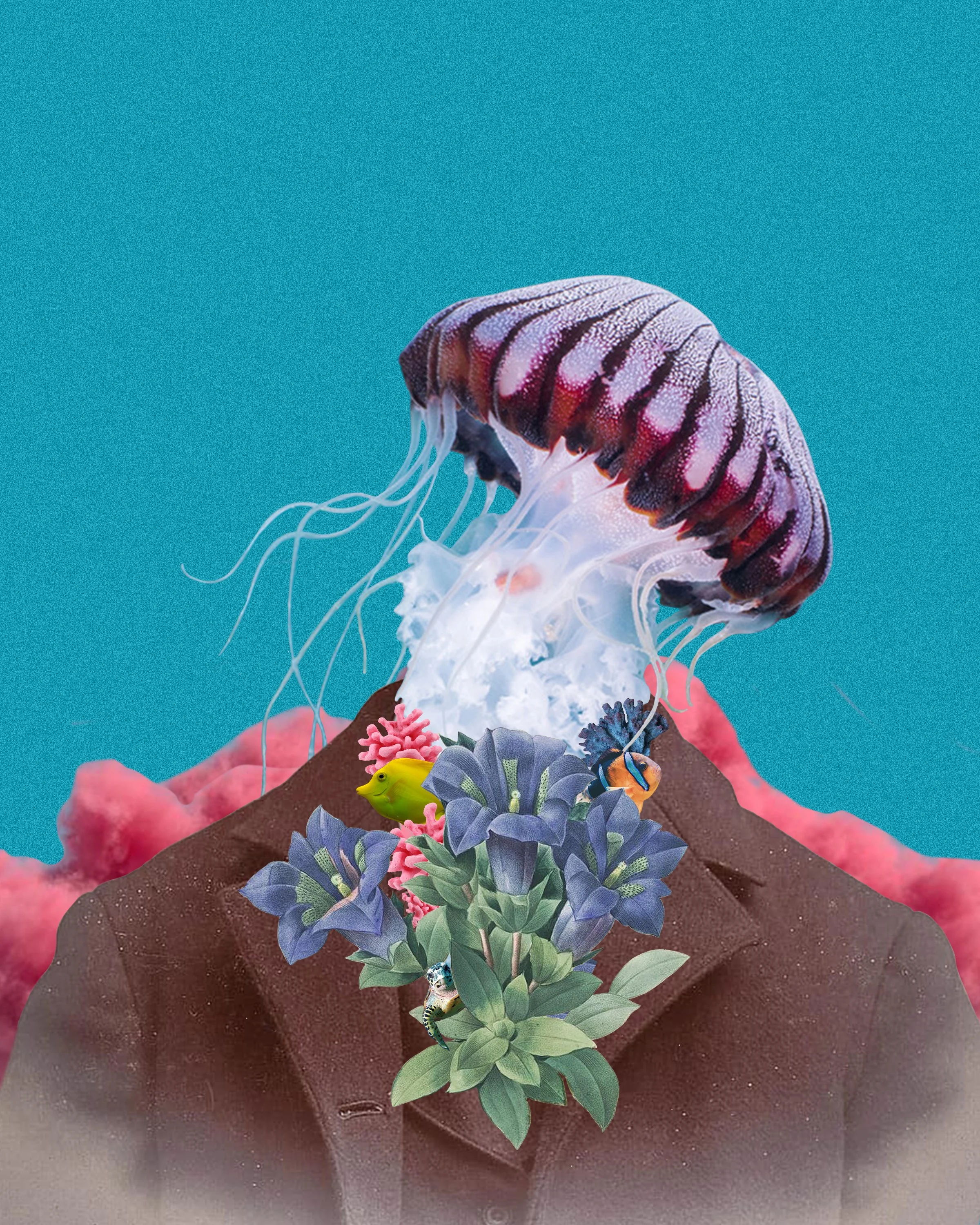 Jelly head.jpg