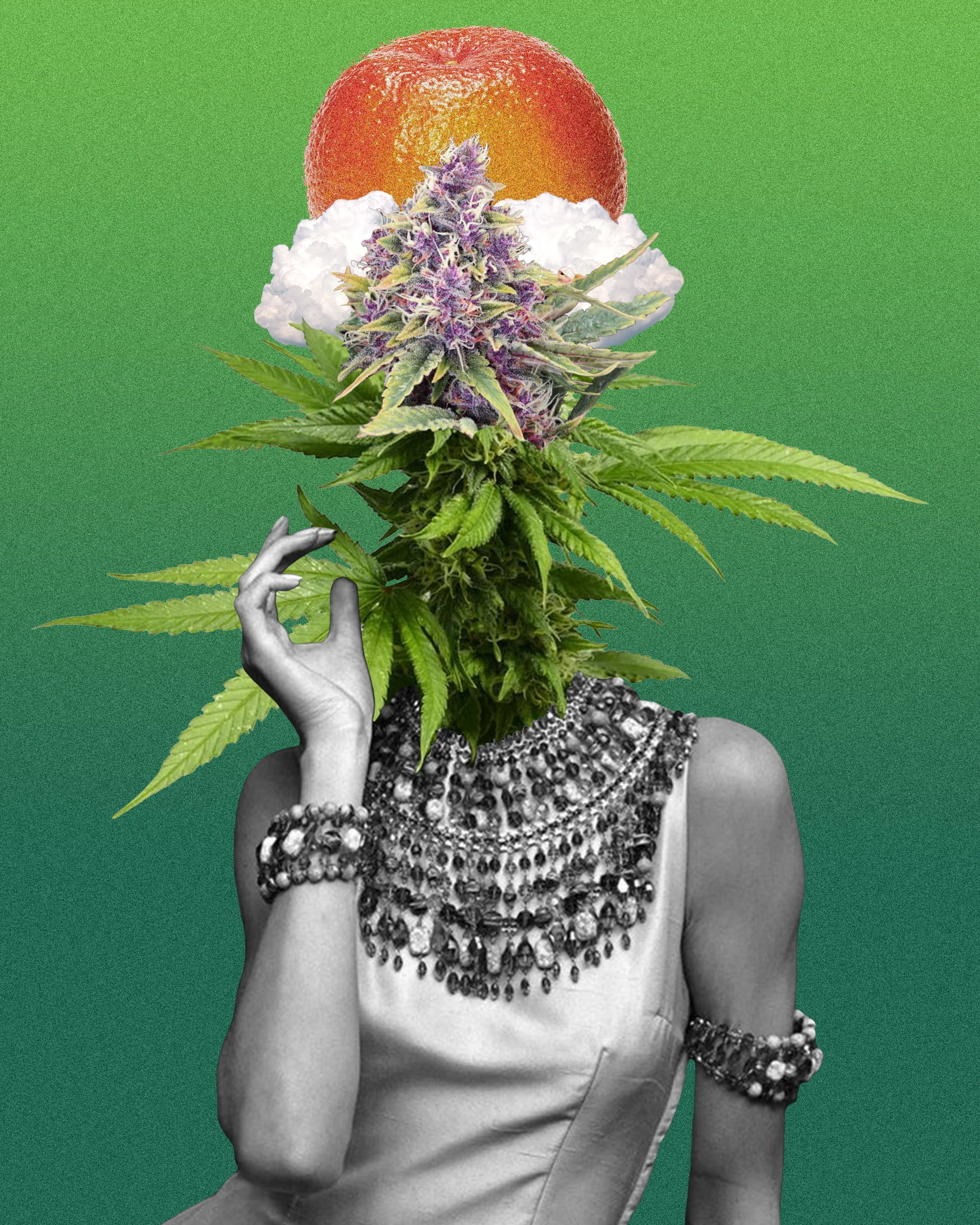 pot head 2.jpg