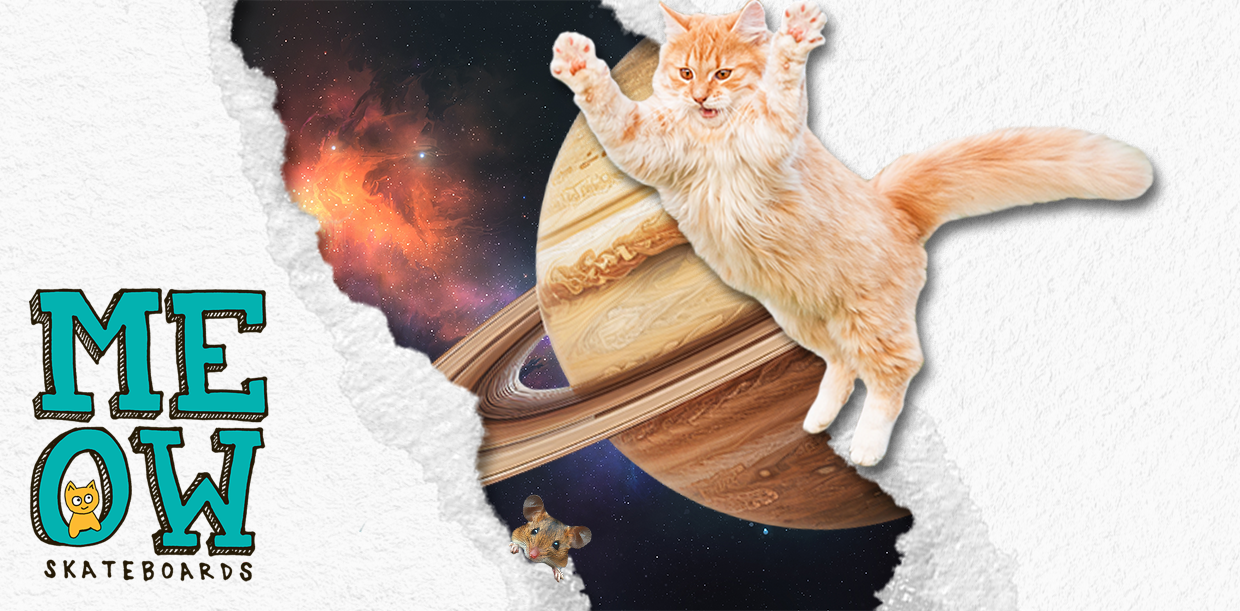 meow banner 2 v3.png