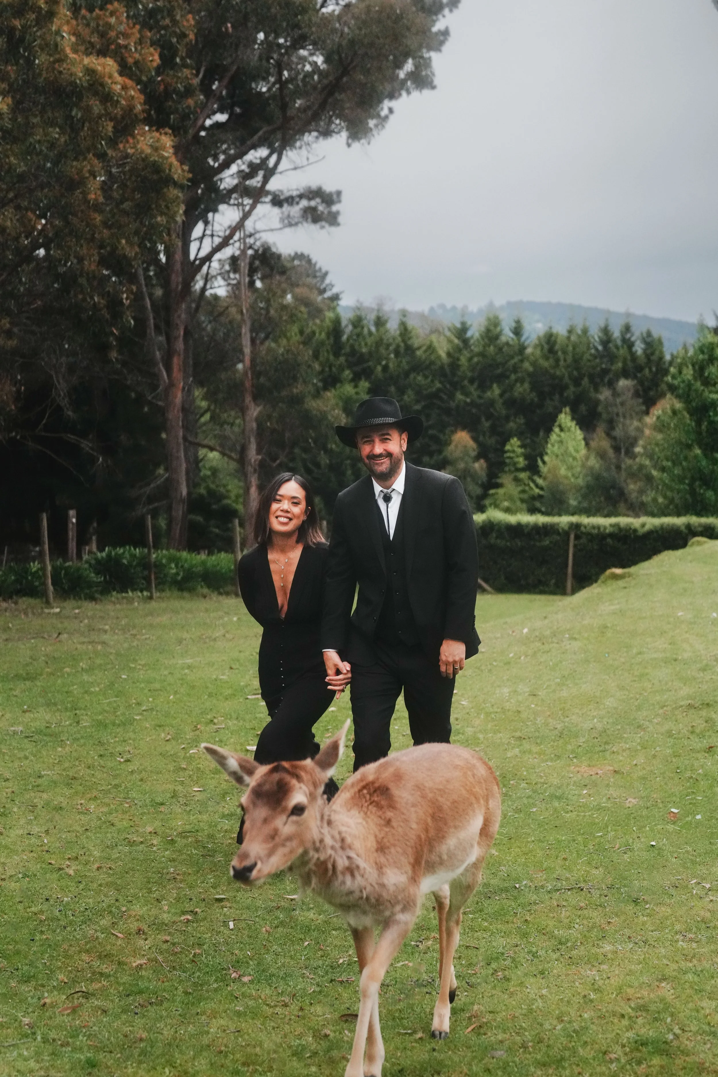 A man and woman standing outdoors in a grassy area with trees in the background, holding hands, and a cow in the foreground.