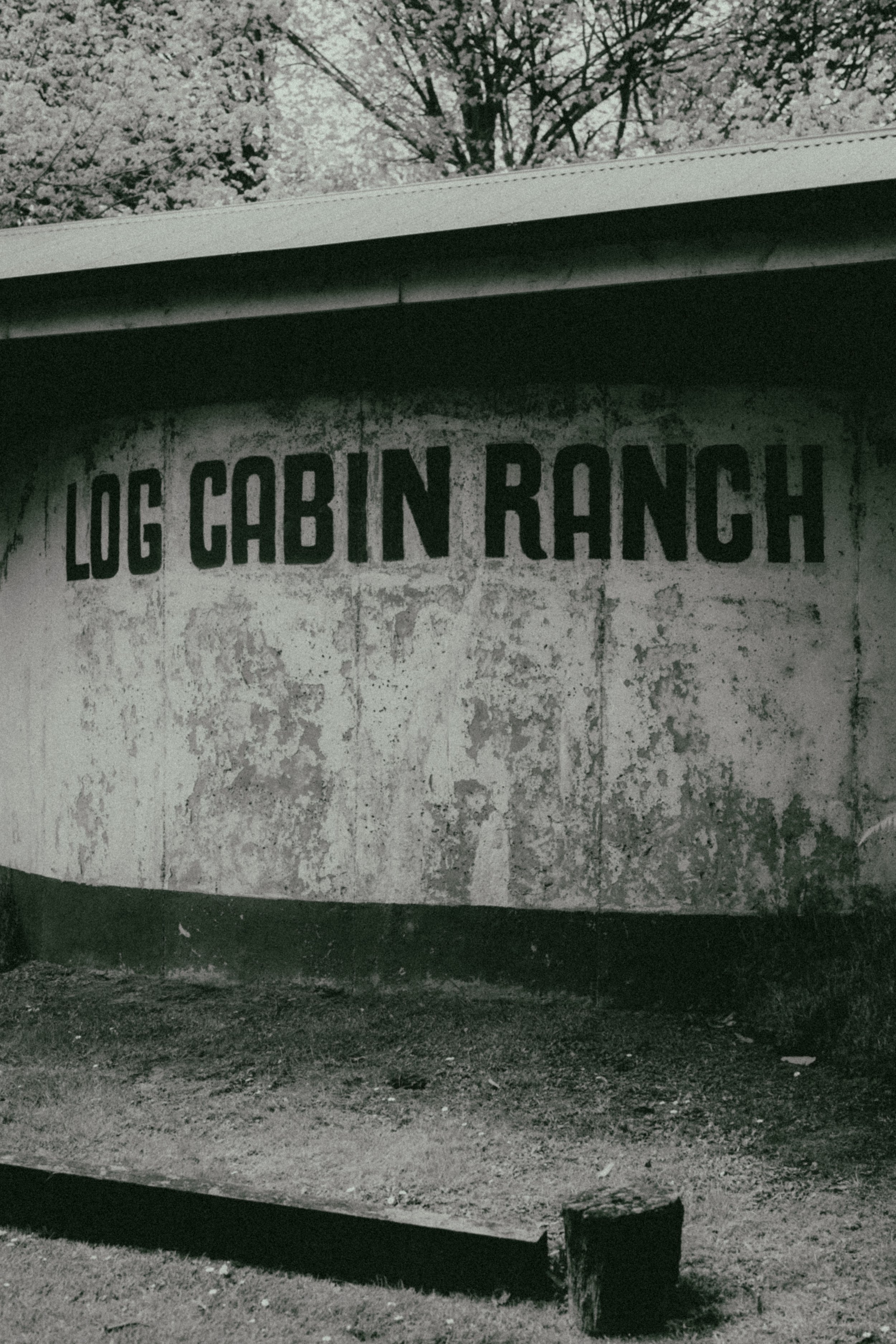 Black and white photo of a building wall with the words 'Lodge Cabin Ranch' painted on it, and a tree with blooming branches in the background.