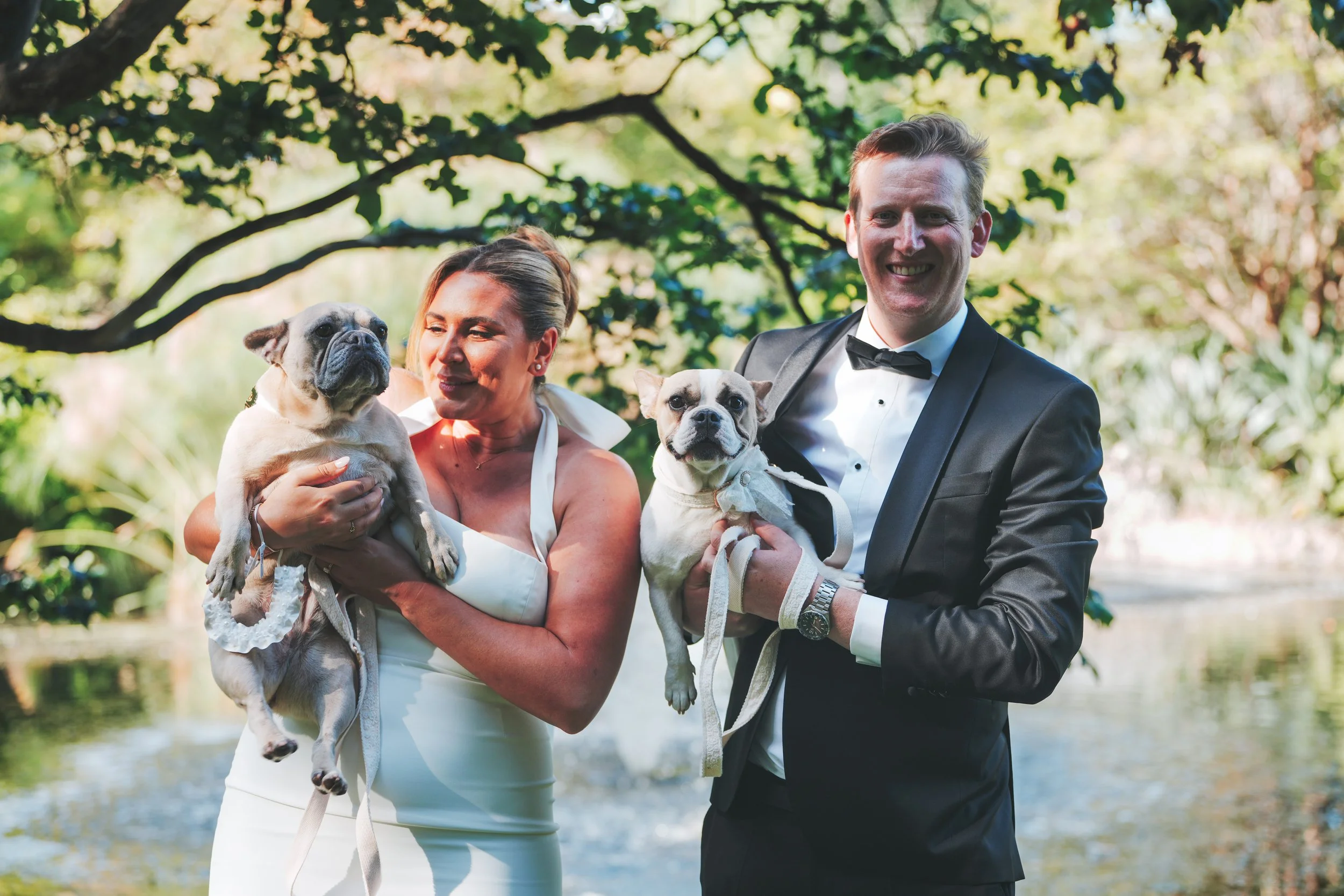 A woman in a white dress and a man in a tuxedo holding two French bulldogs in an outdoor setting with trees and water in the background.