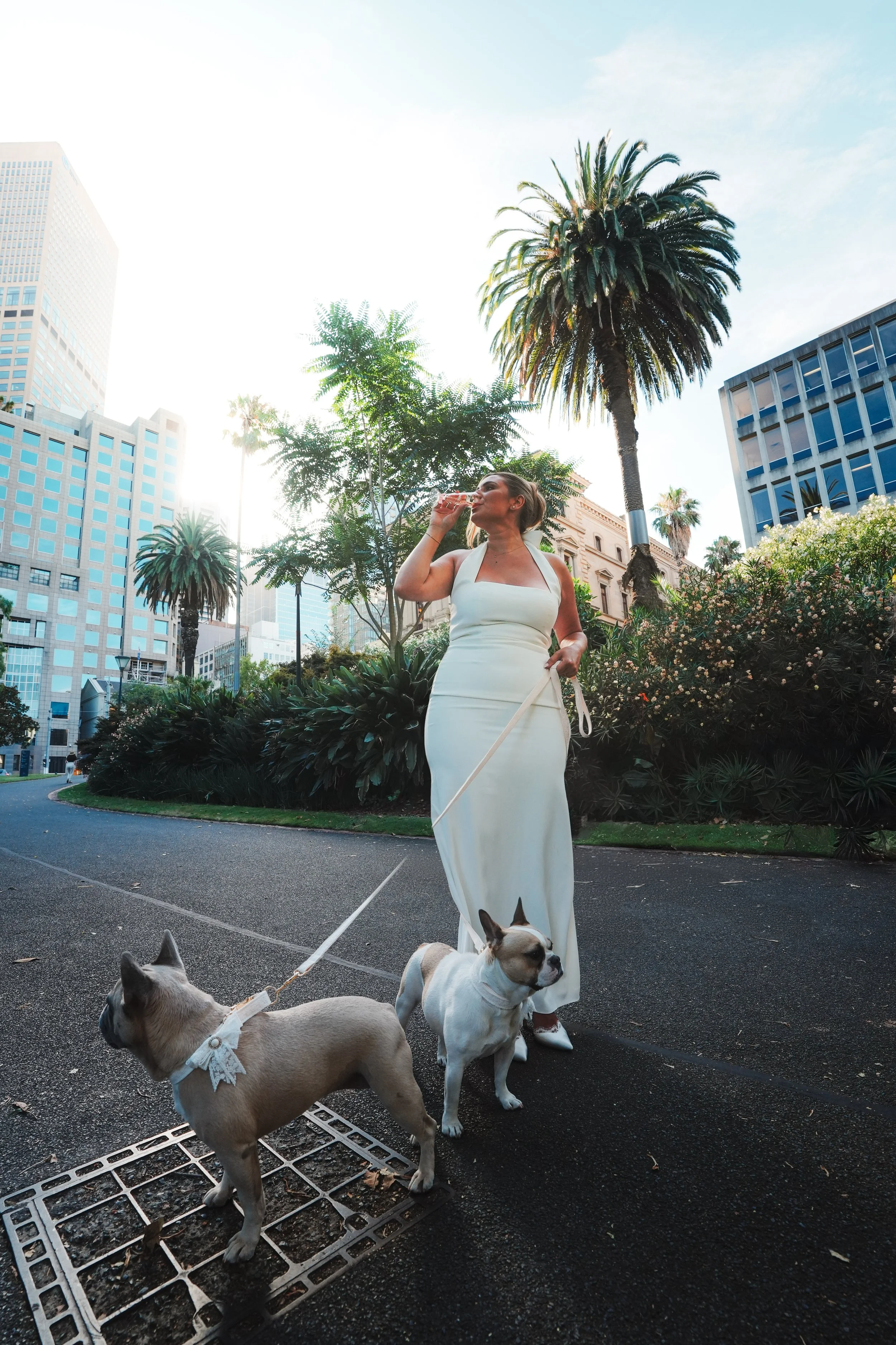 A woman in a white dress walking her two dogs in an urban park with tall buildings, palm trees, and greenery.