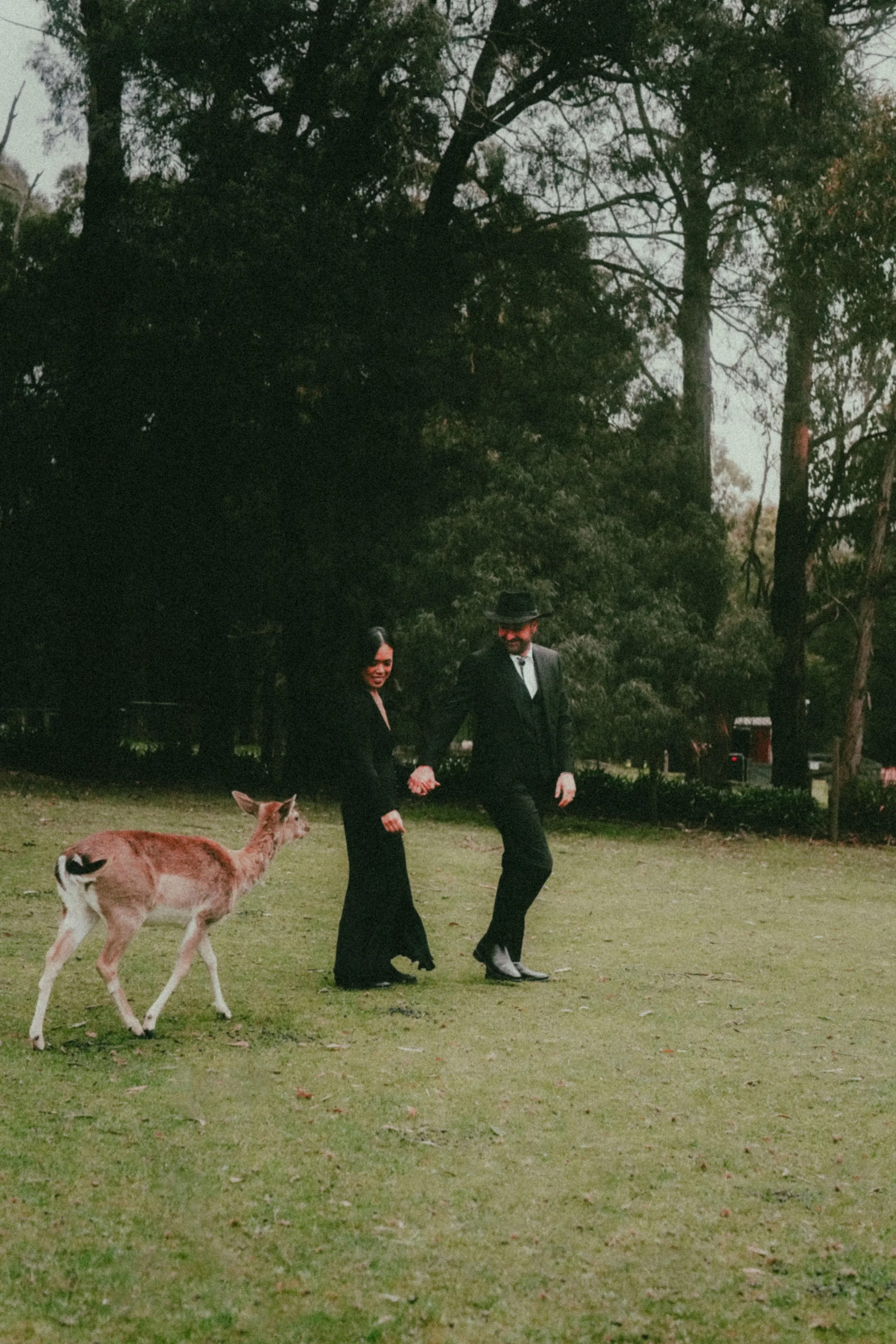 A man and woman dancing outdoors in a park with a dog nearby, trees in the background during evening.