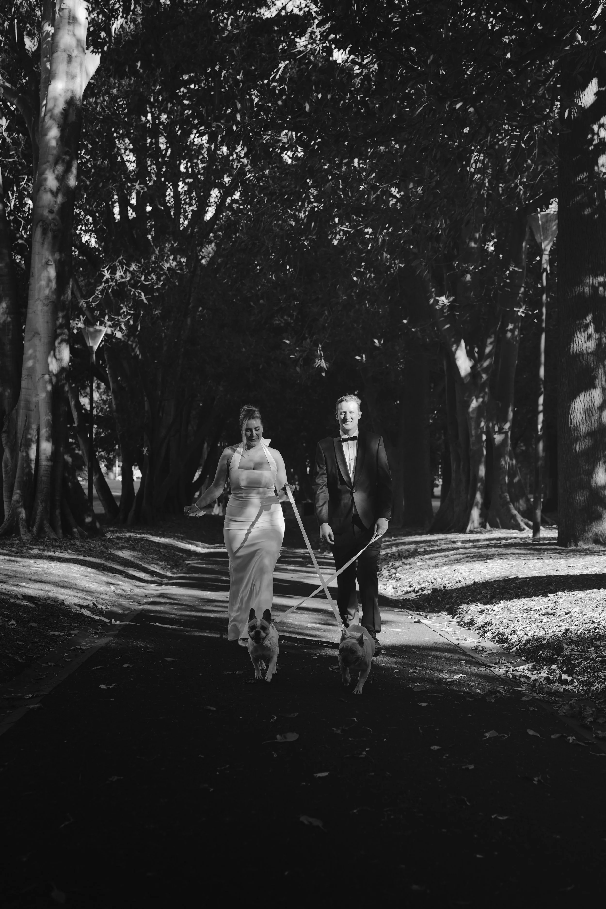 A black and white photo of a man and woman walking two dogs in a park. The woman is wearing a long dress, and the man is in a tuxedo. They are walking on a pathway lined with tall trees.