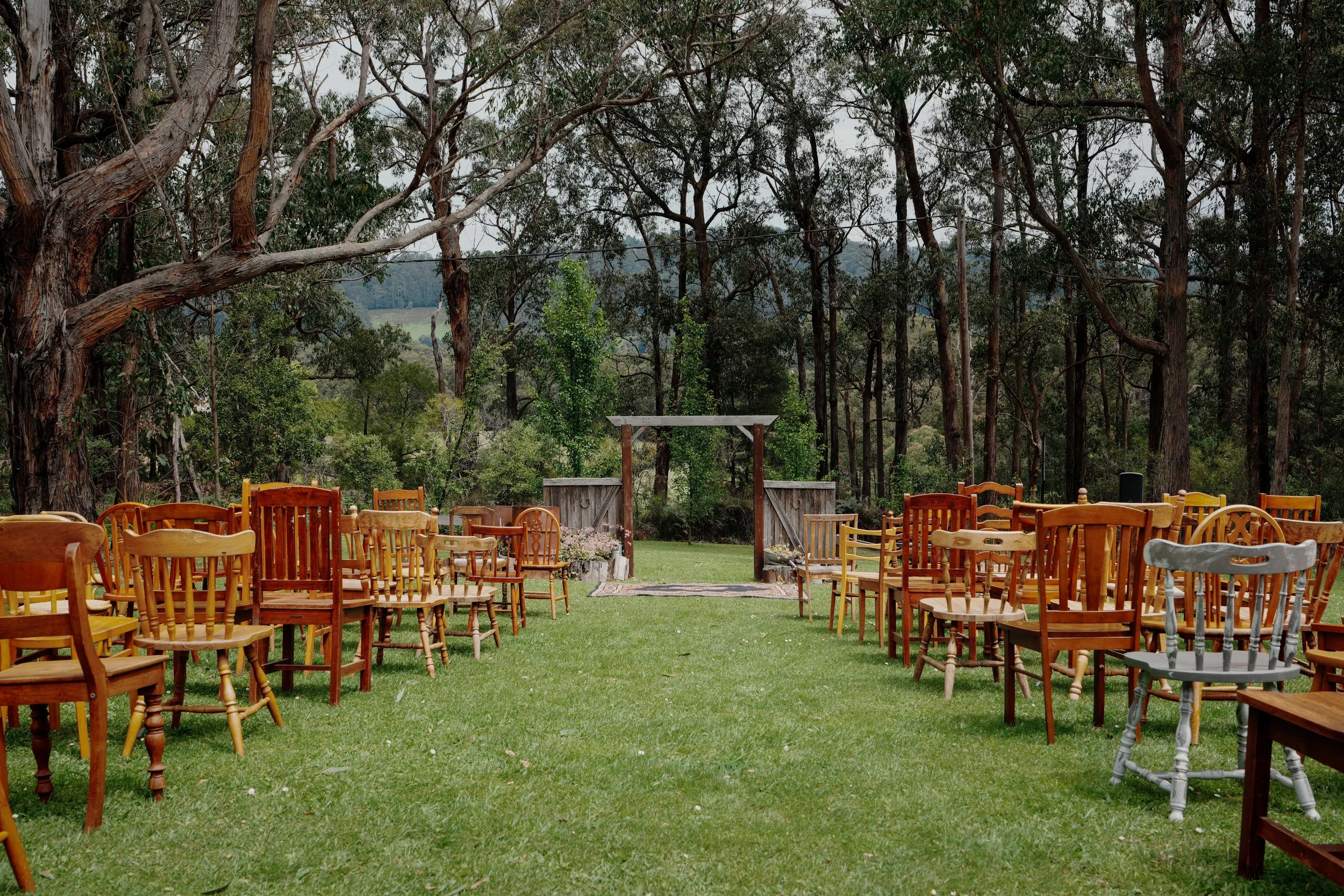 Outdoor wedding setup with wooden chairs arranged on green grass, rustic wooden table, and natural wooded backdrop with tall trees.